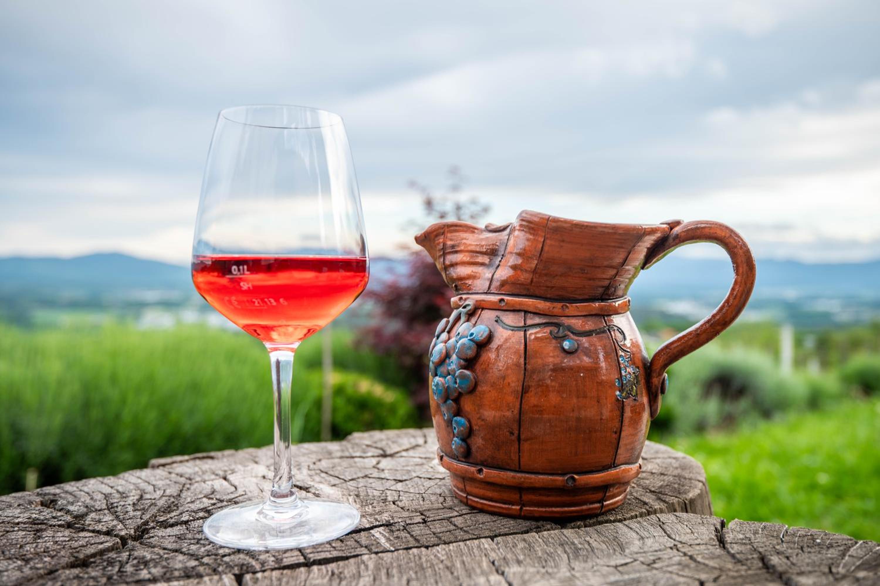 Vineyard cottage Kump