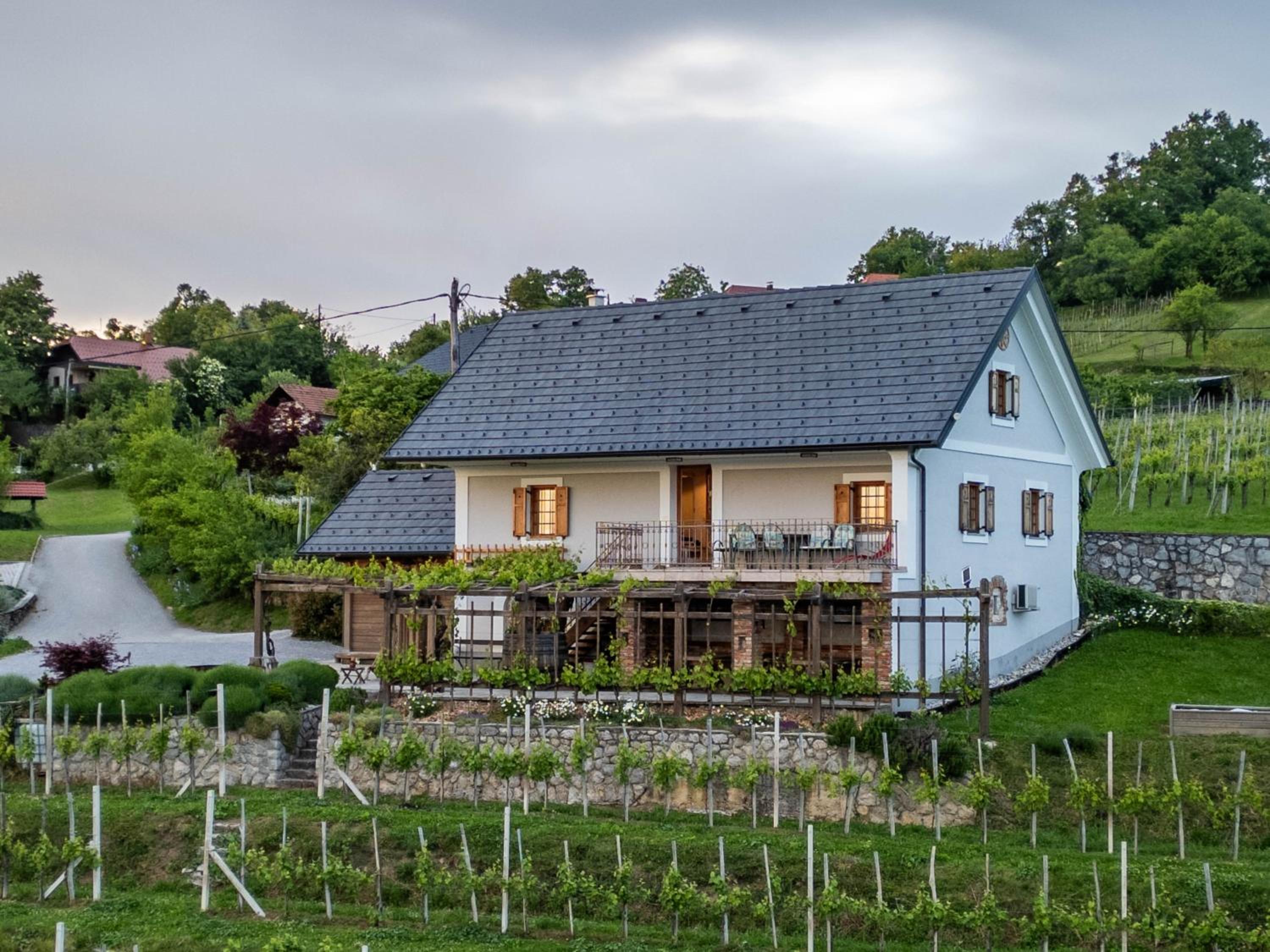 Vineyard cottage Kump