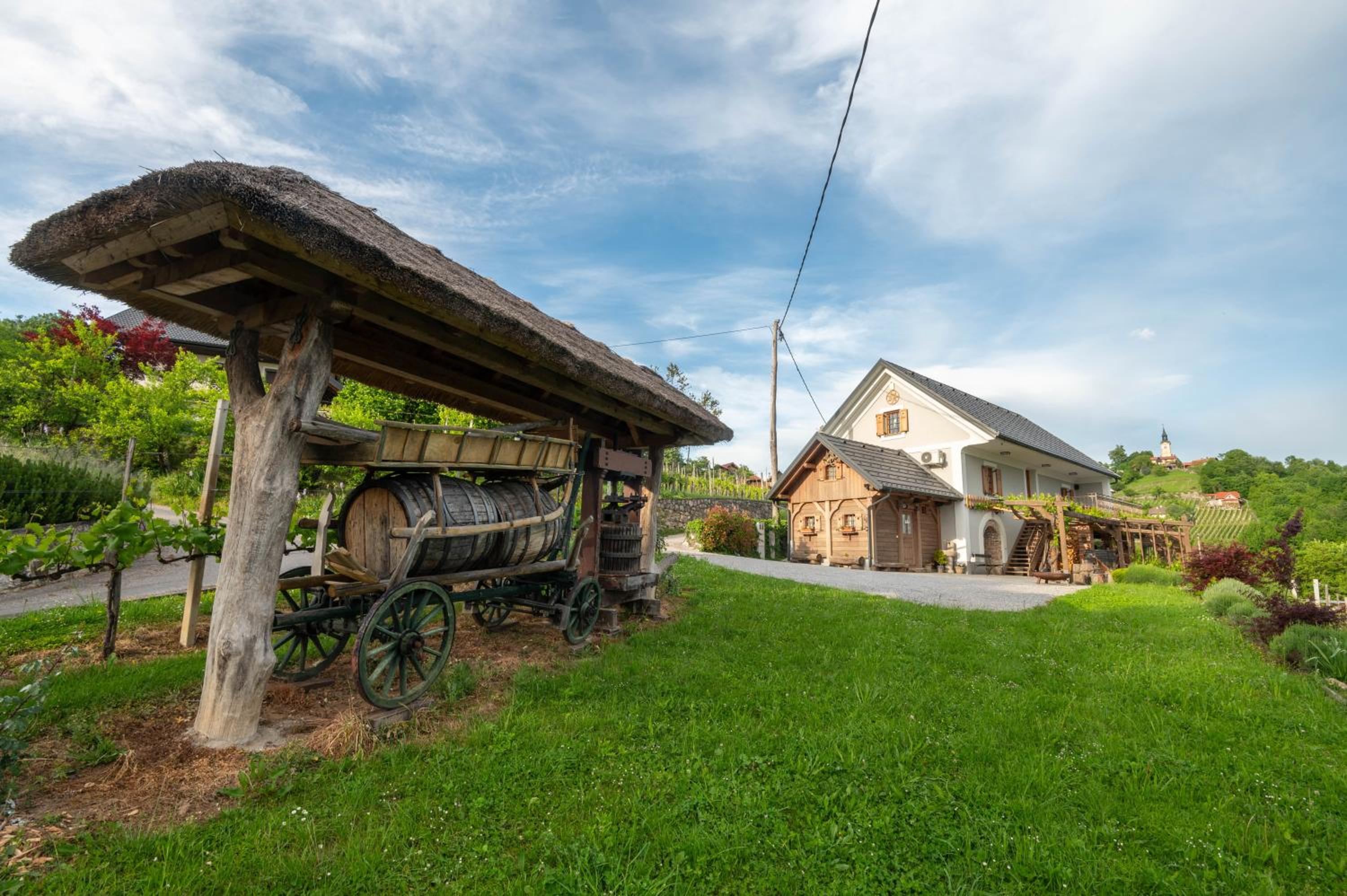 Vineyard cottage Kump