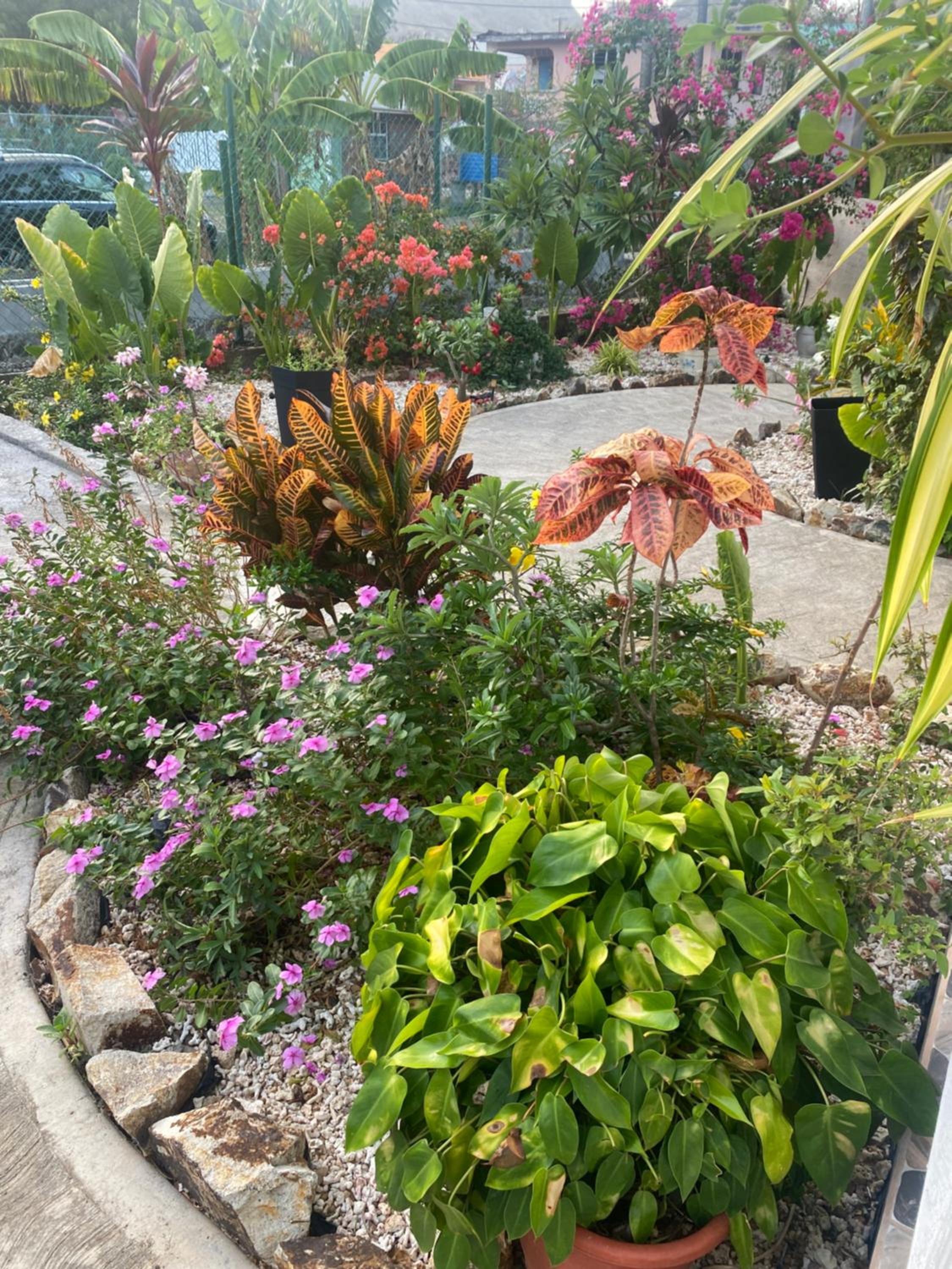 Photo 23
