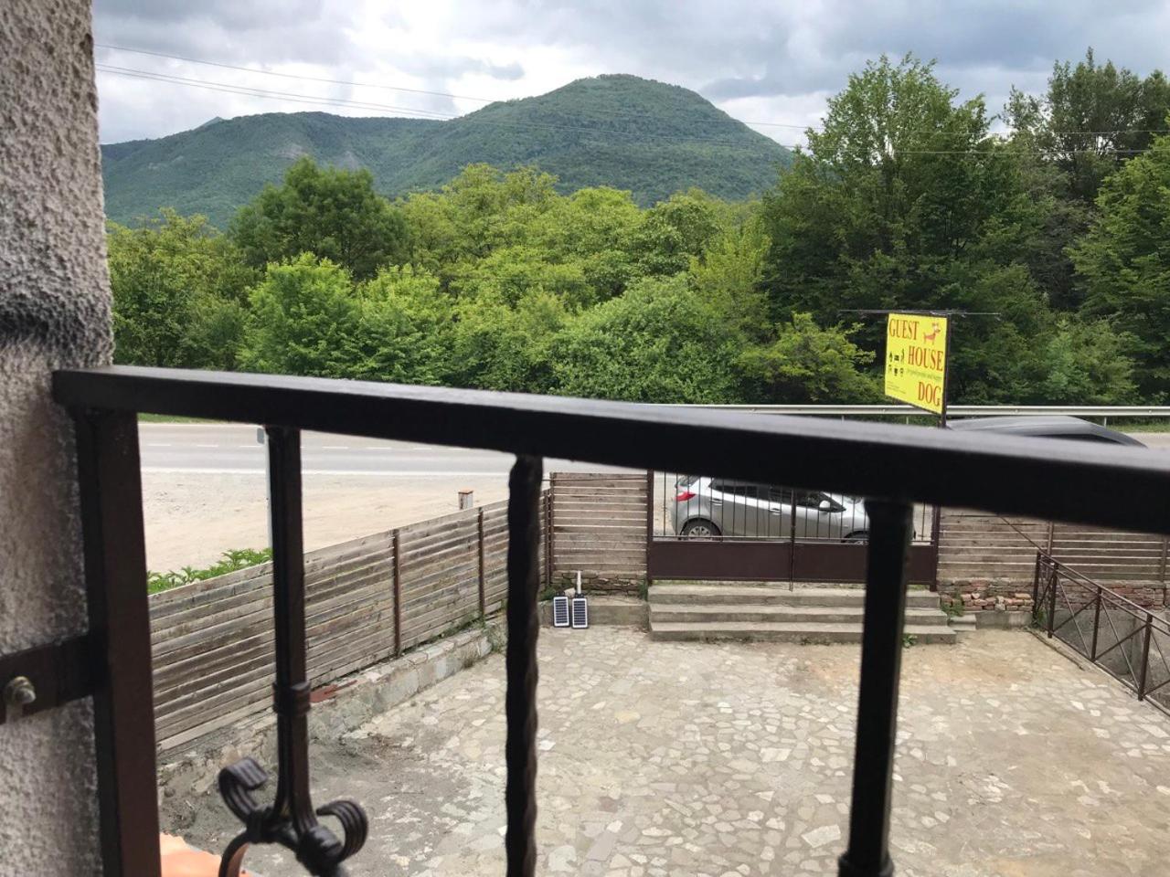 Guest House DogPoint