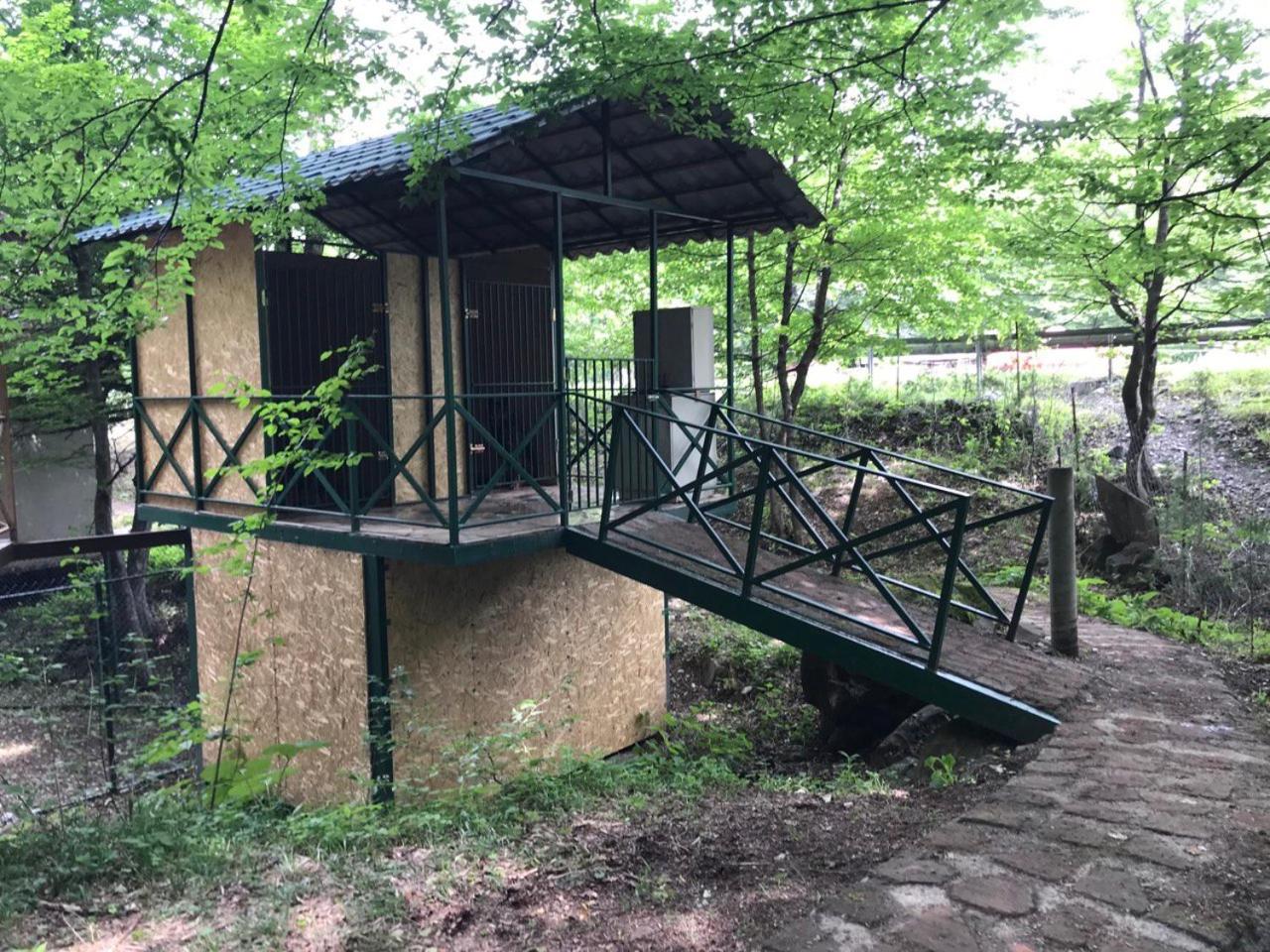 Guest House DogPoint