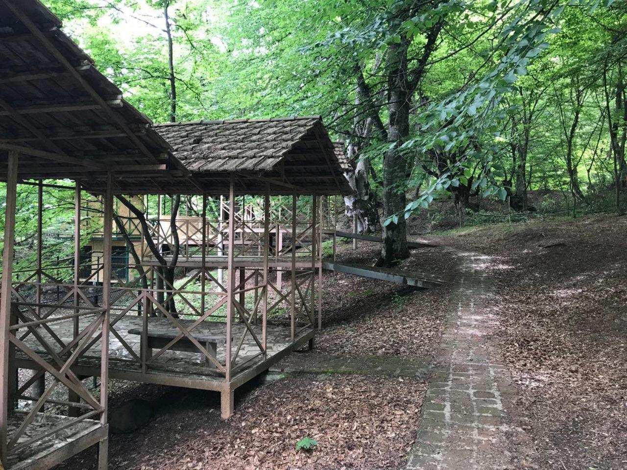 Guest House DogPoint