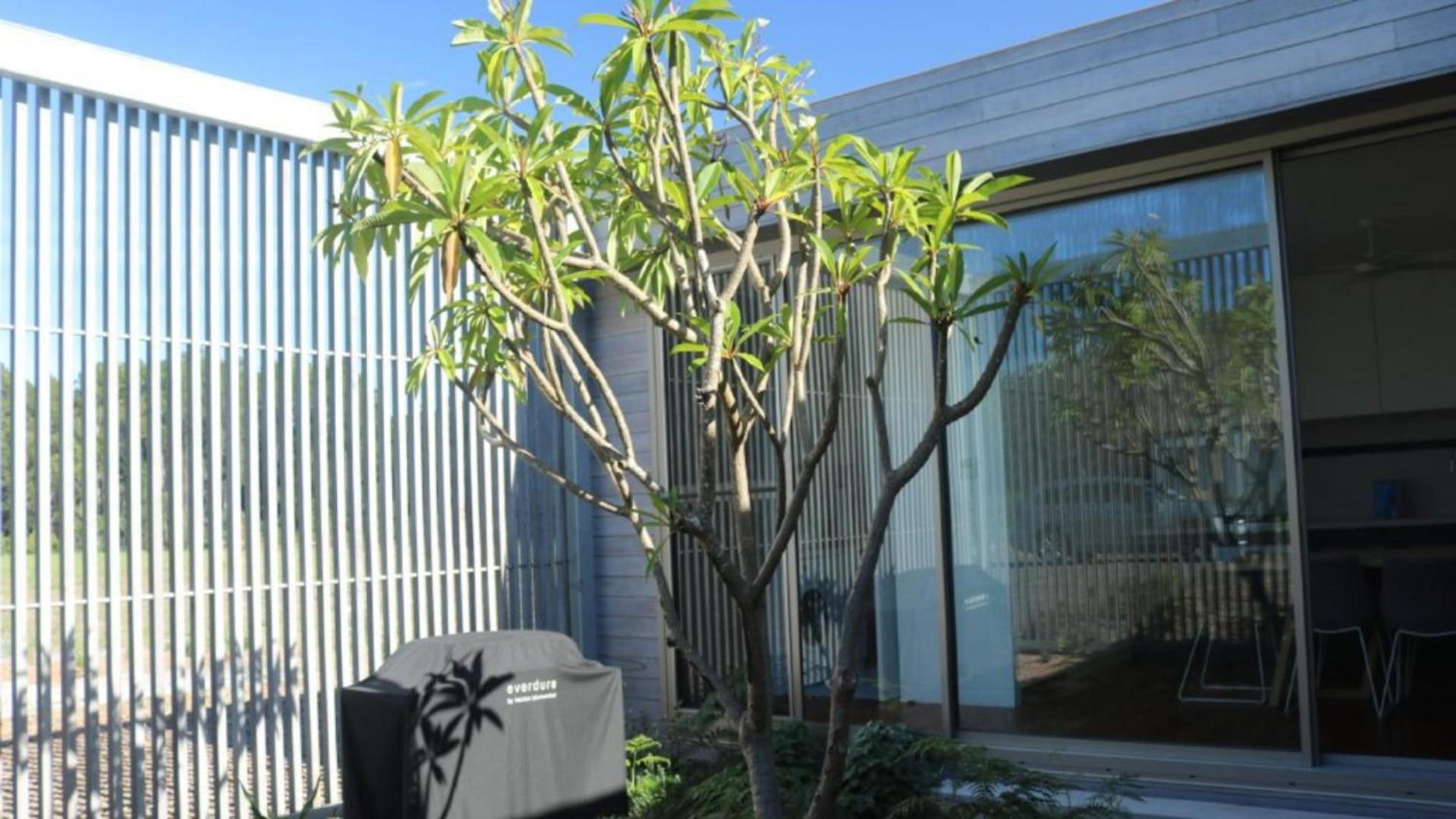 Courtyard House On Mungo