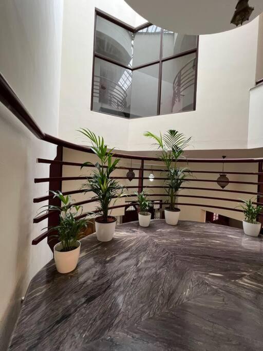 Tranquil Haven Bungalow view 5