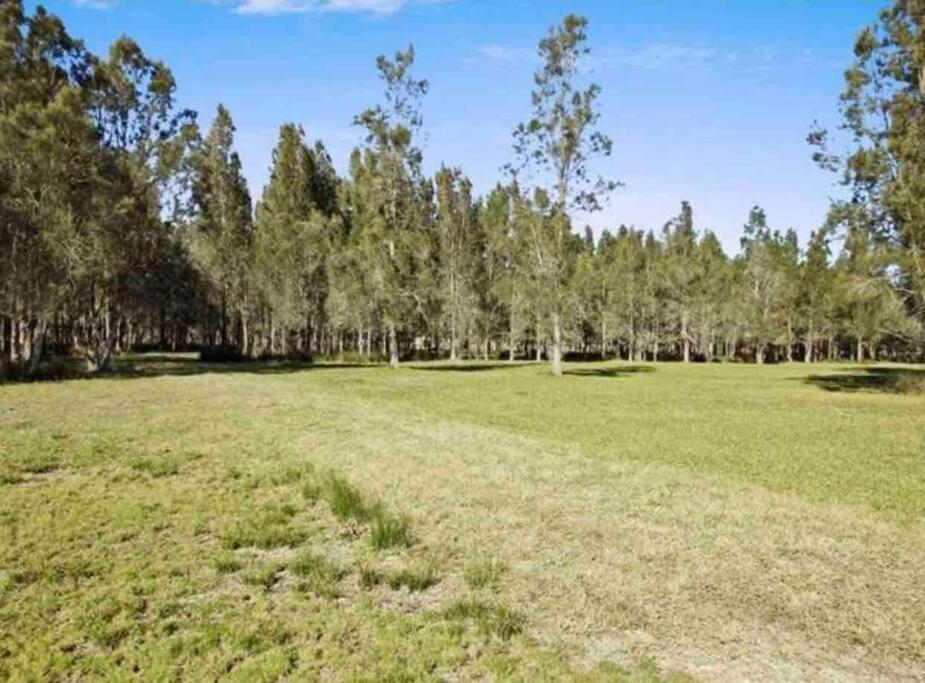 Anna Bay 20 acres luxury farm
