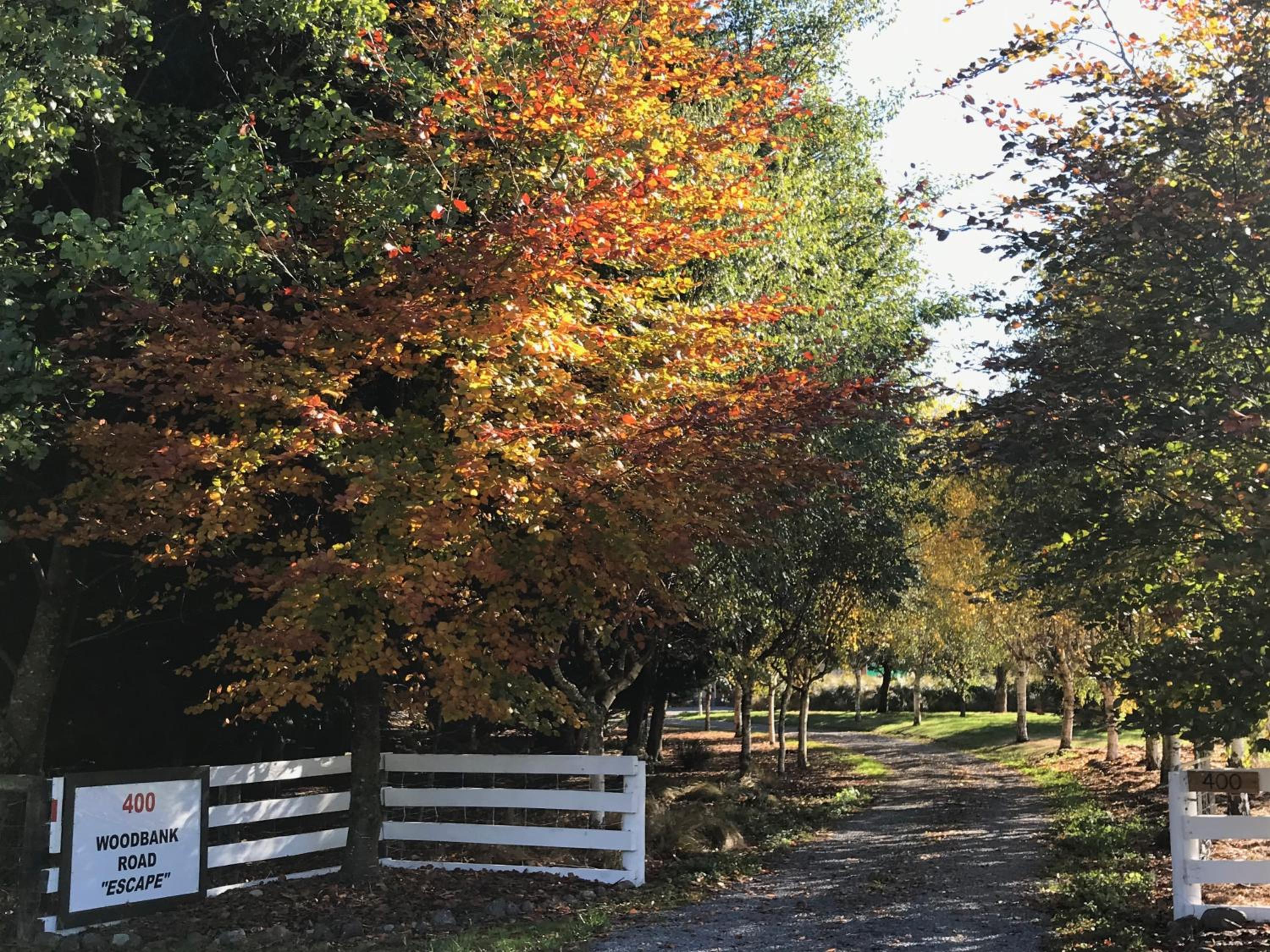 Woodbank Road Escape