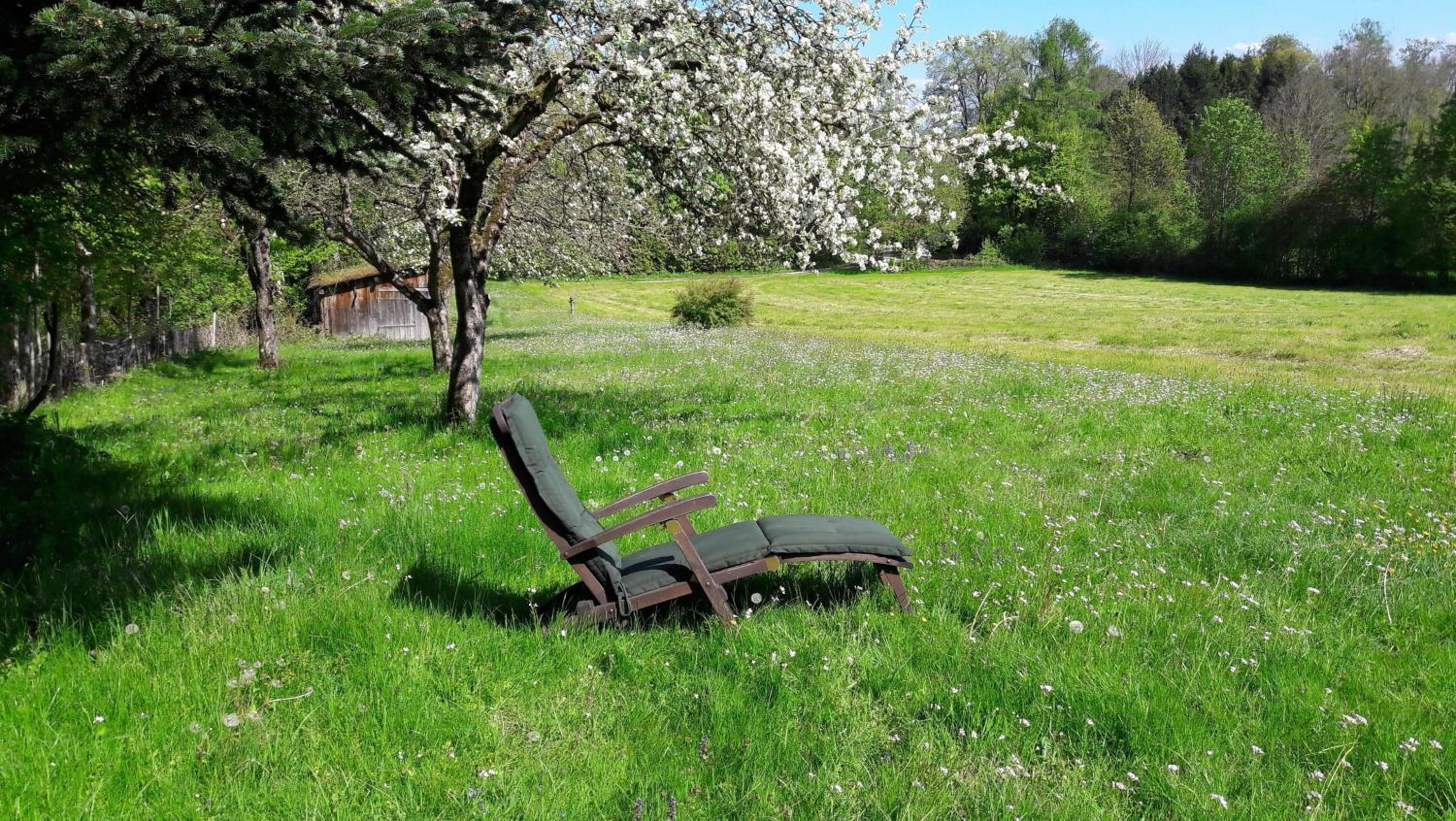 Elbrächter