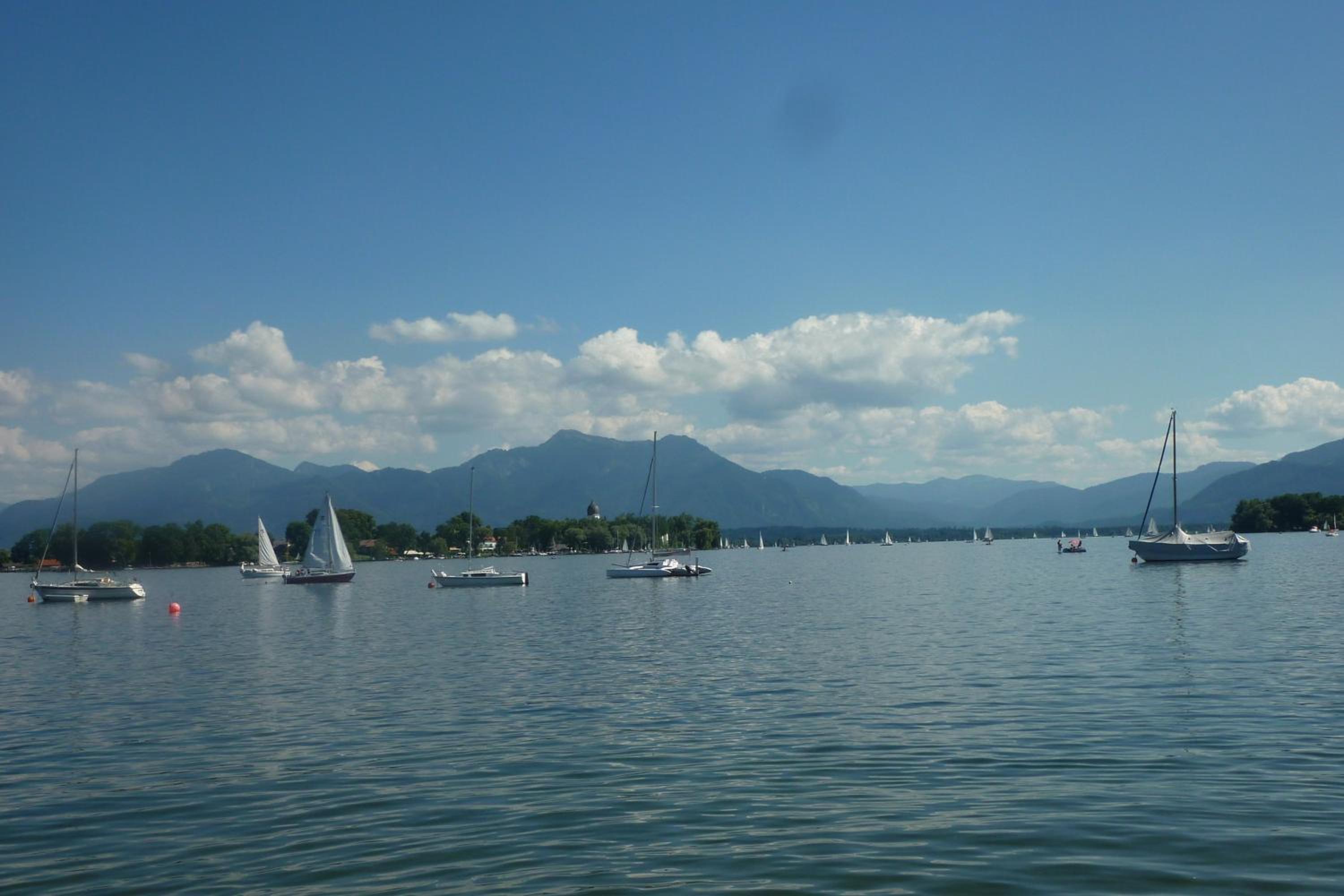 Elbrächter