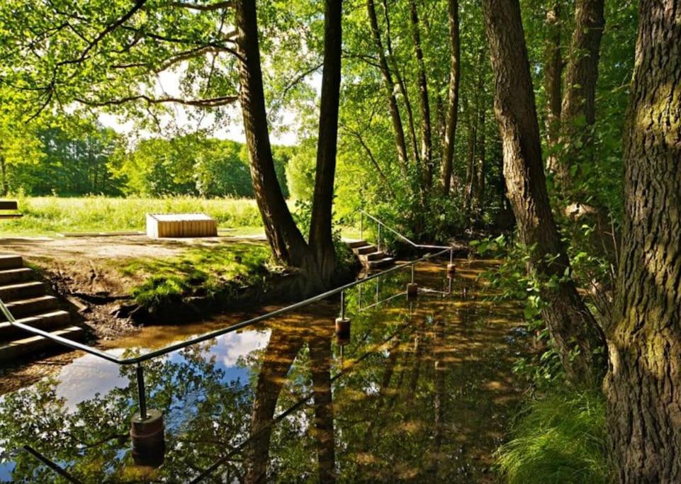 Private Souterrain Apartment in the green of Berlin