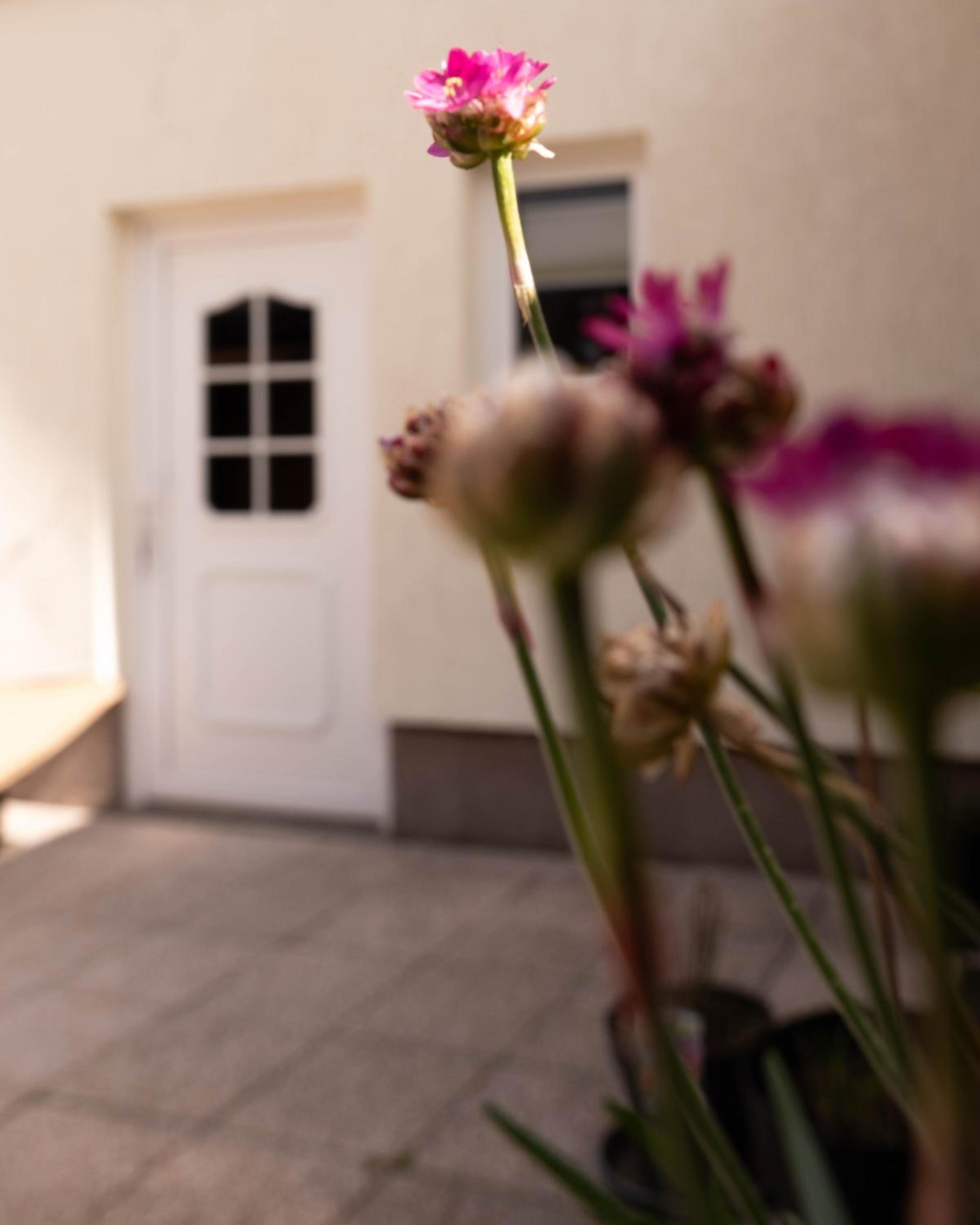 Haus am rauschenden Wasser