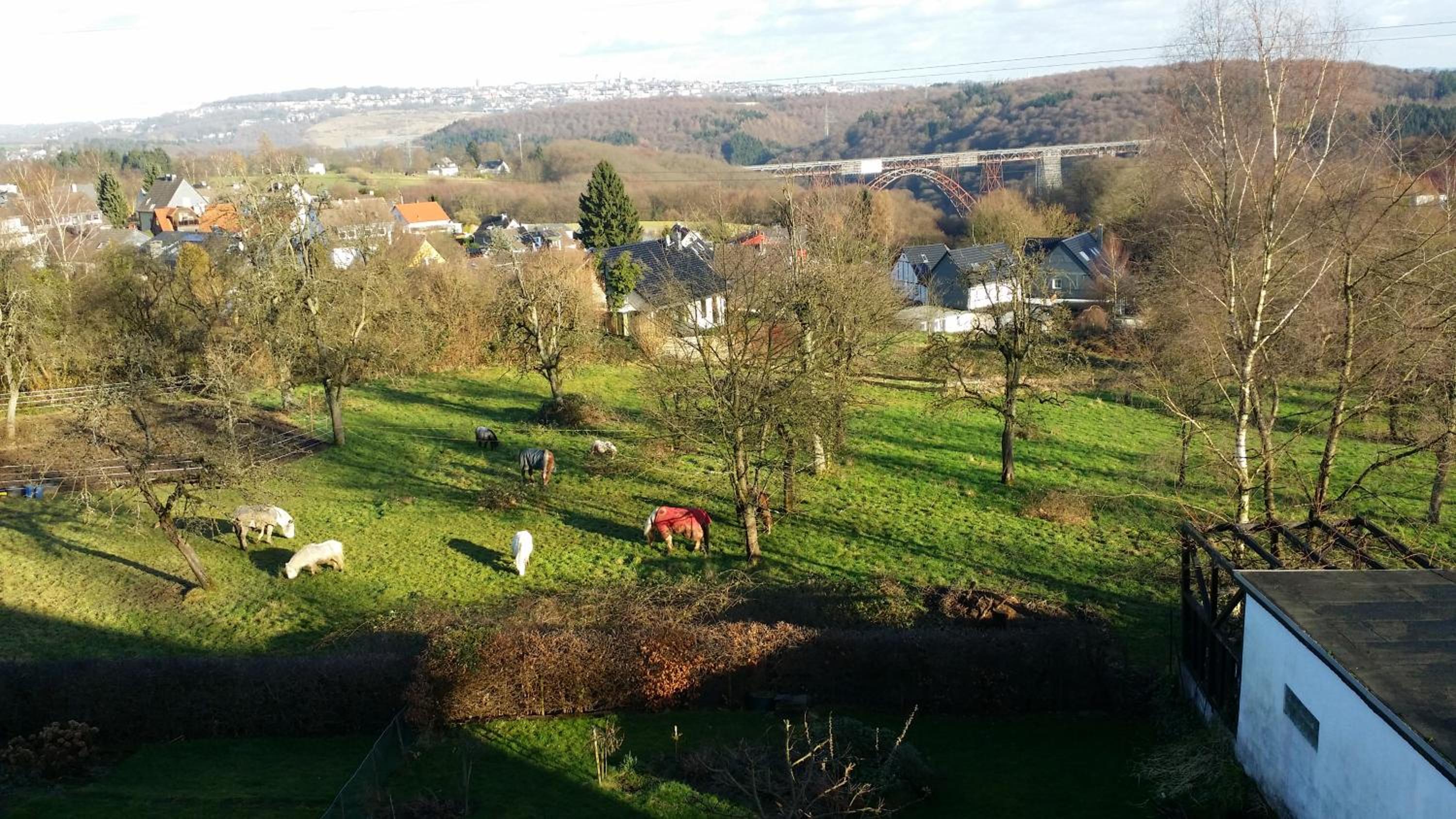 FeWo Brückenblick