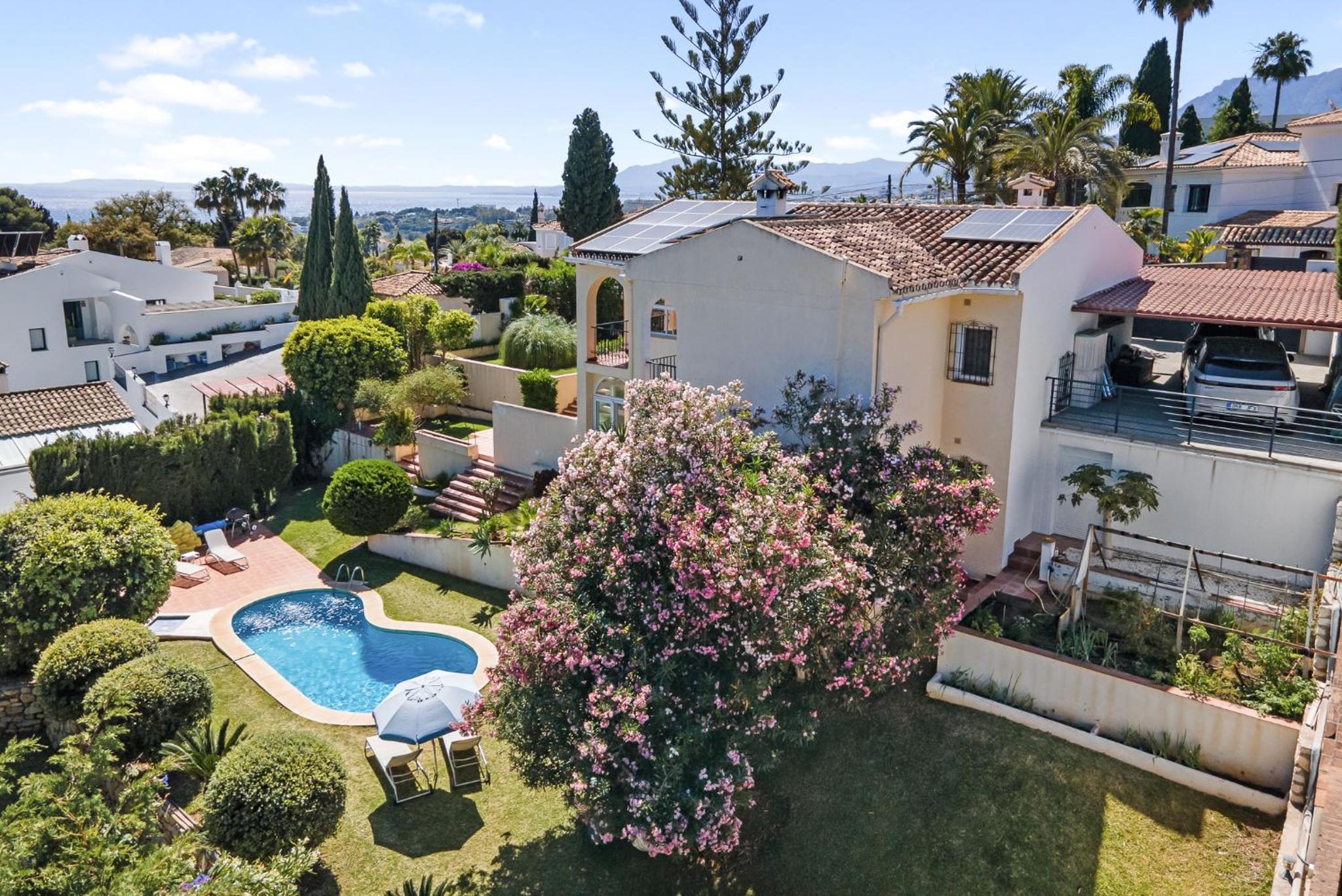 Wonderful family villa with sea view, El Rosario view 4