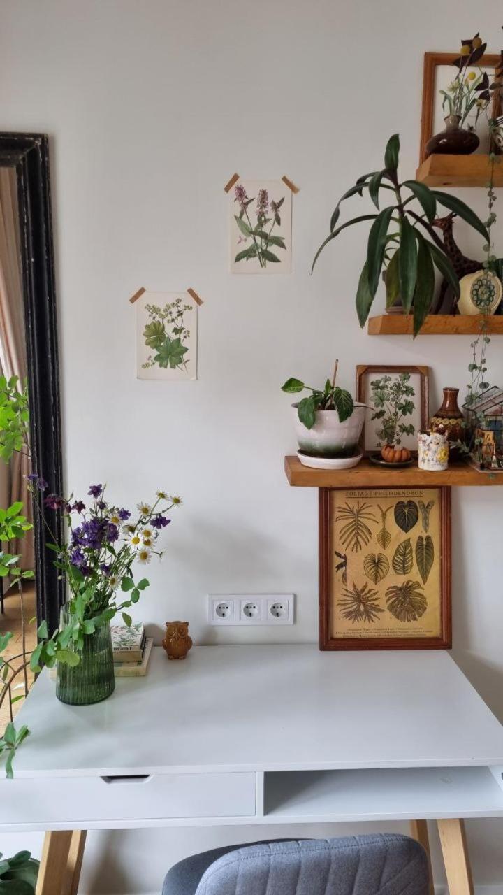 Kyiv Jungle apartment view 2