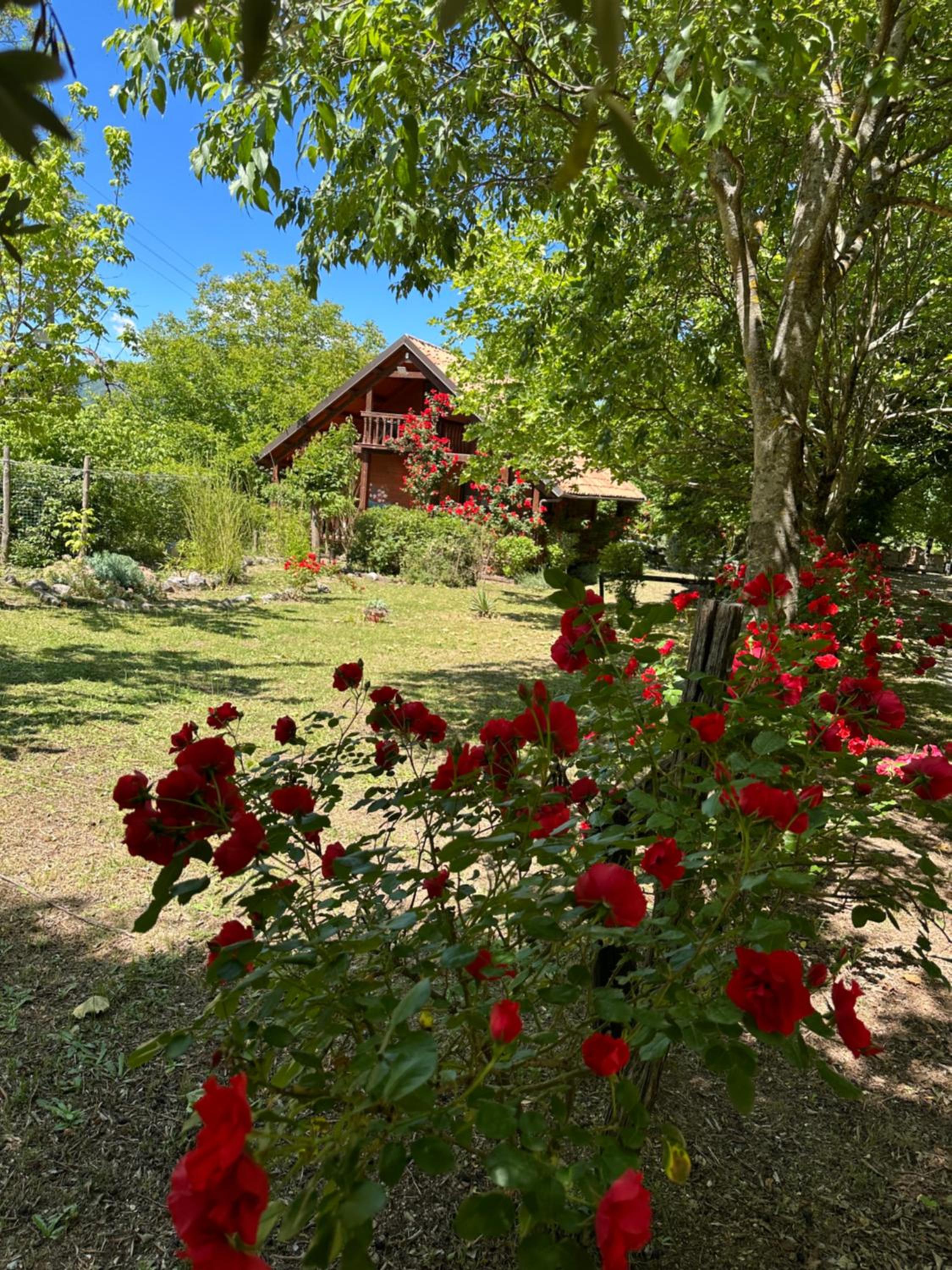 CicloPark Morano Calabro view 4
