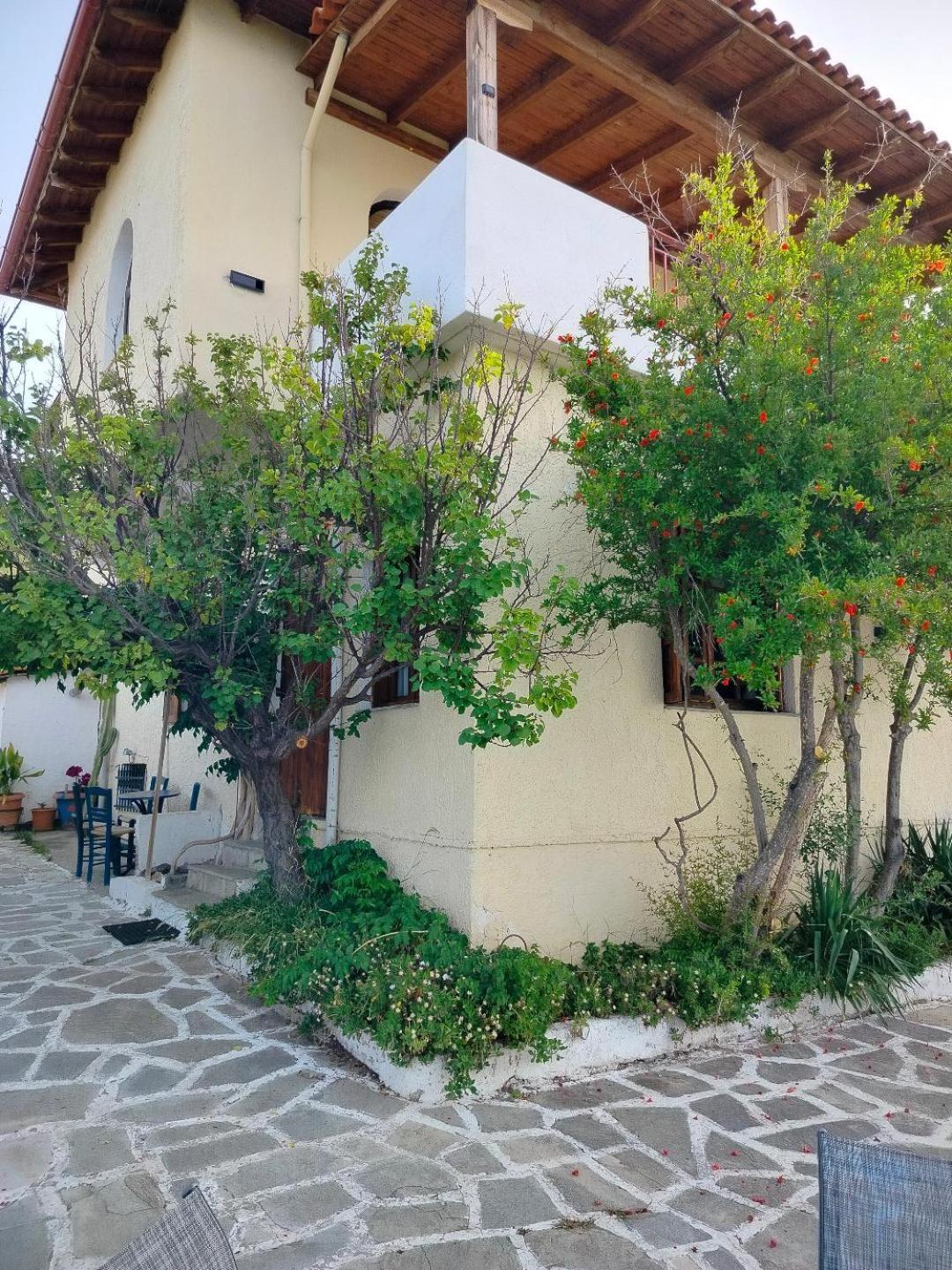 Villa Olga & studios view 2