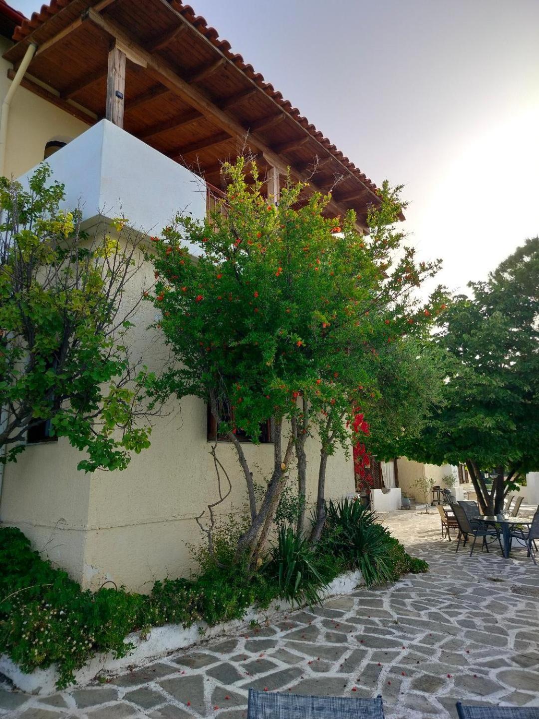 Villa Olga & studios view 3