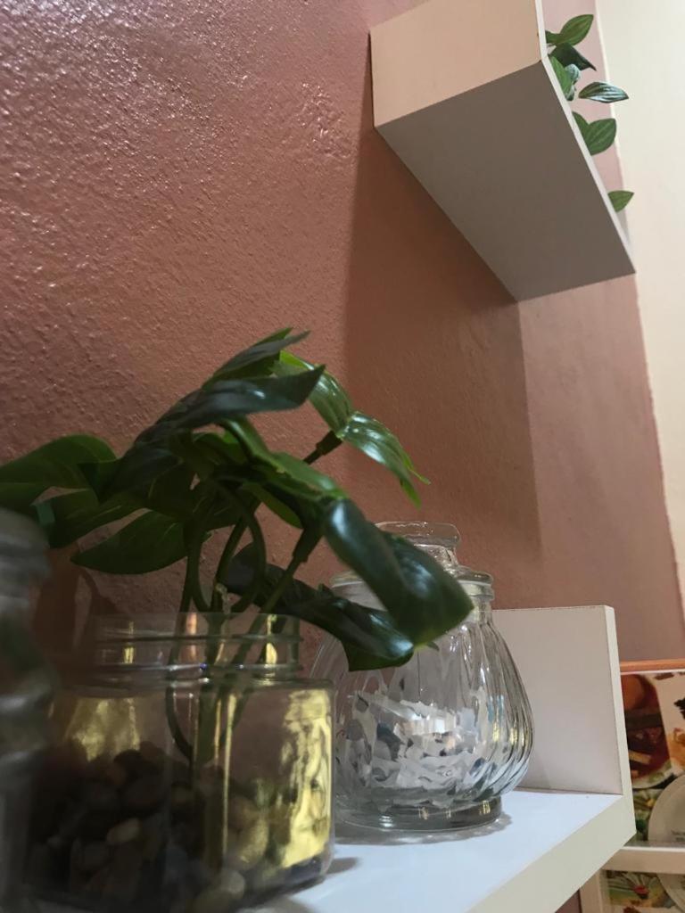 Mayyah Guest House photo 1