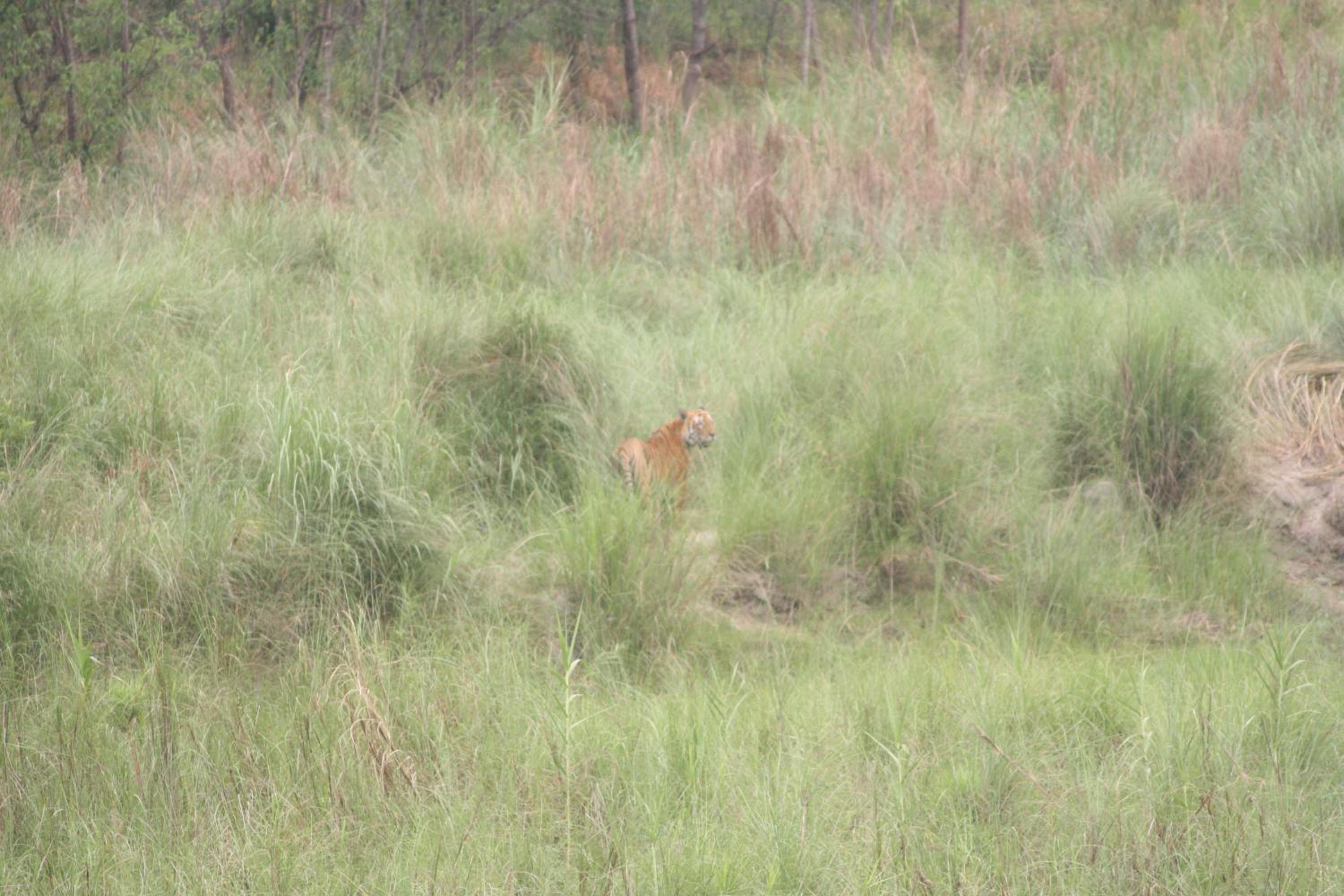 Photo 49