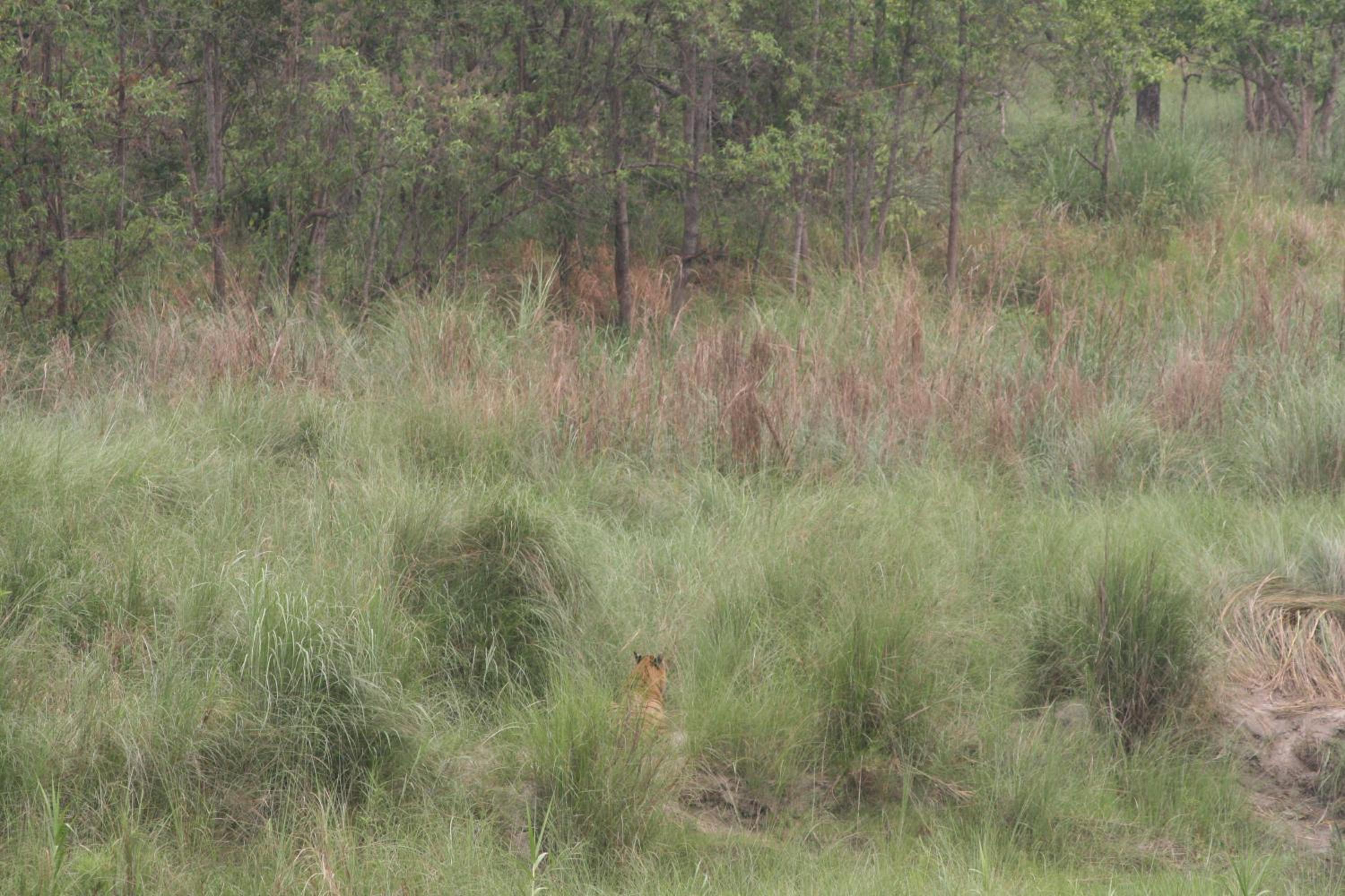Photo 48