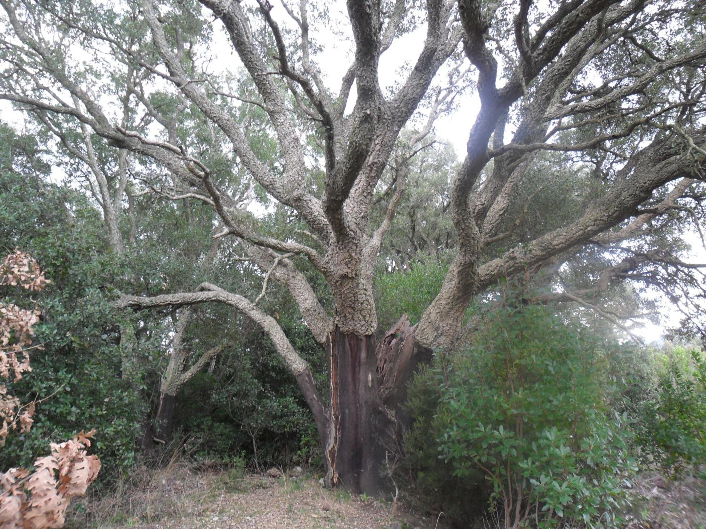 Photo 47