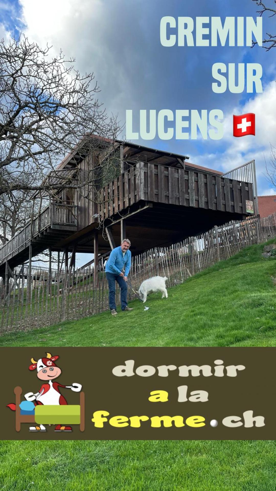 Cabane dans les arbres / Swin-golf de Cremin