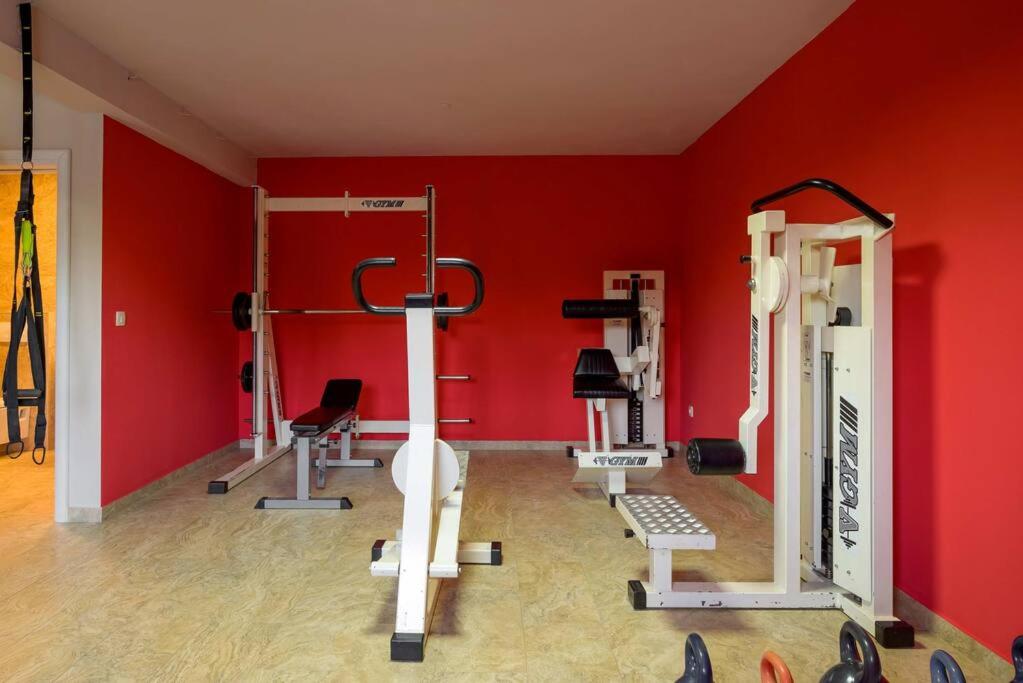 Photo 42