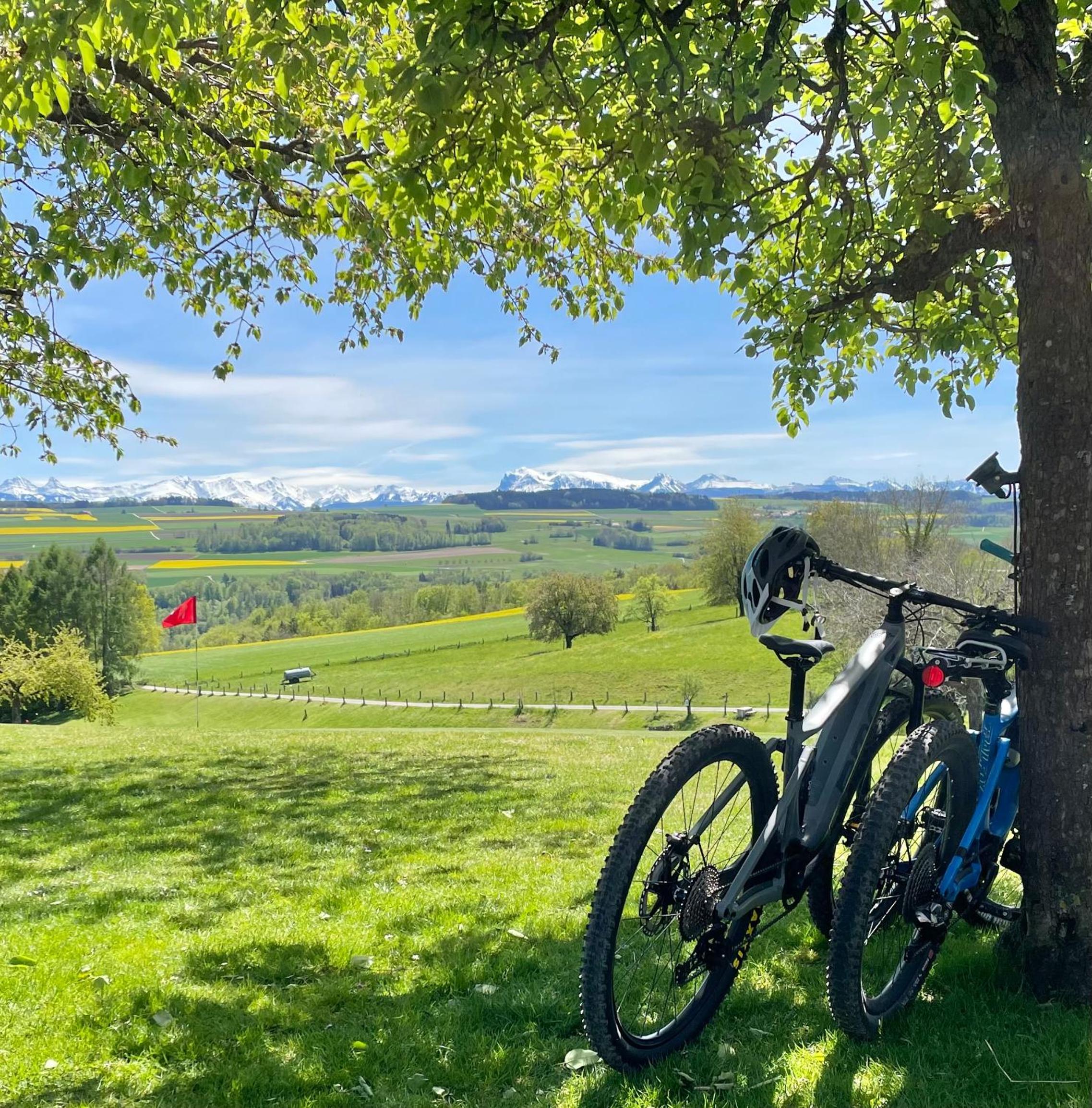 Cabane dans les arbres / Swin-golf de Cremin