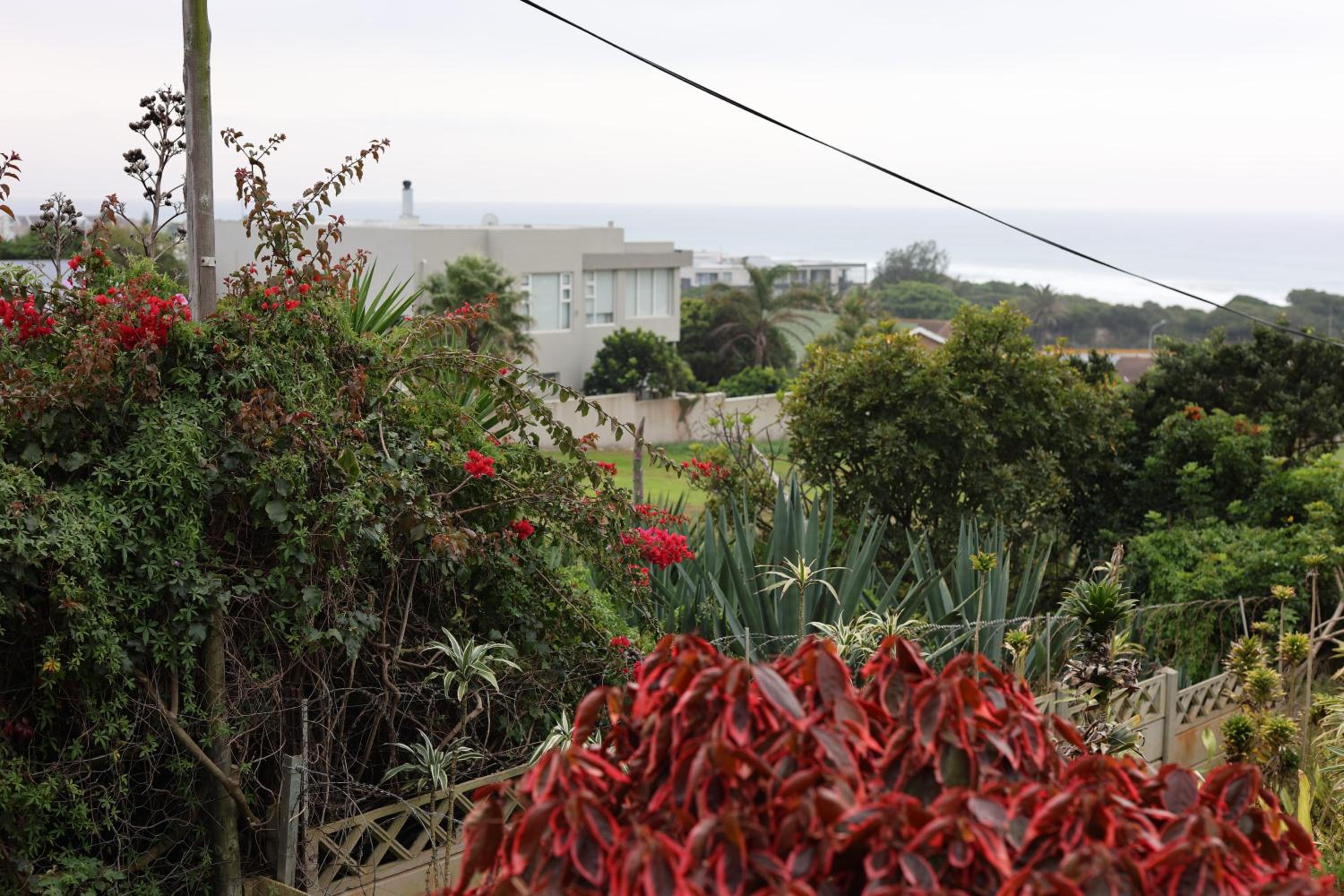 Photo 42