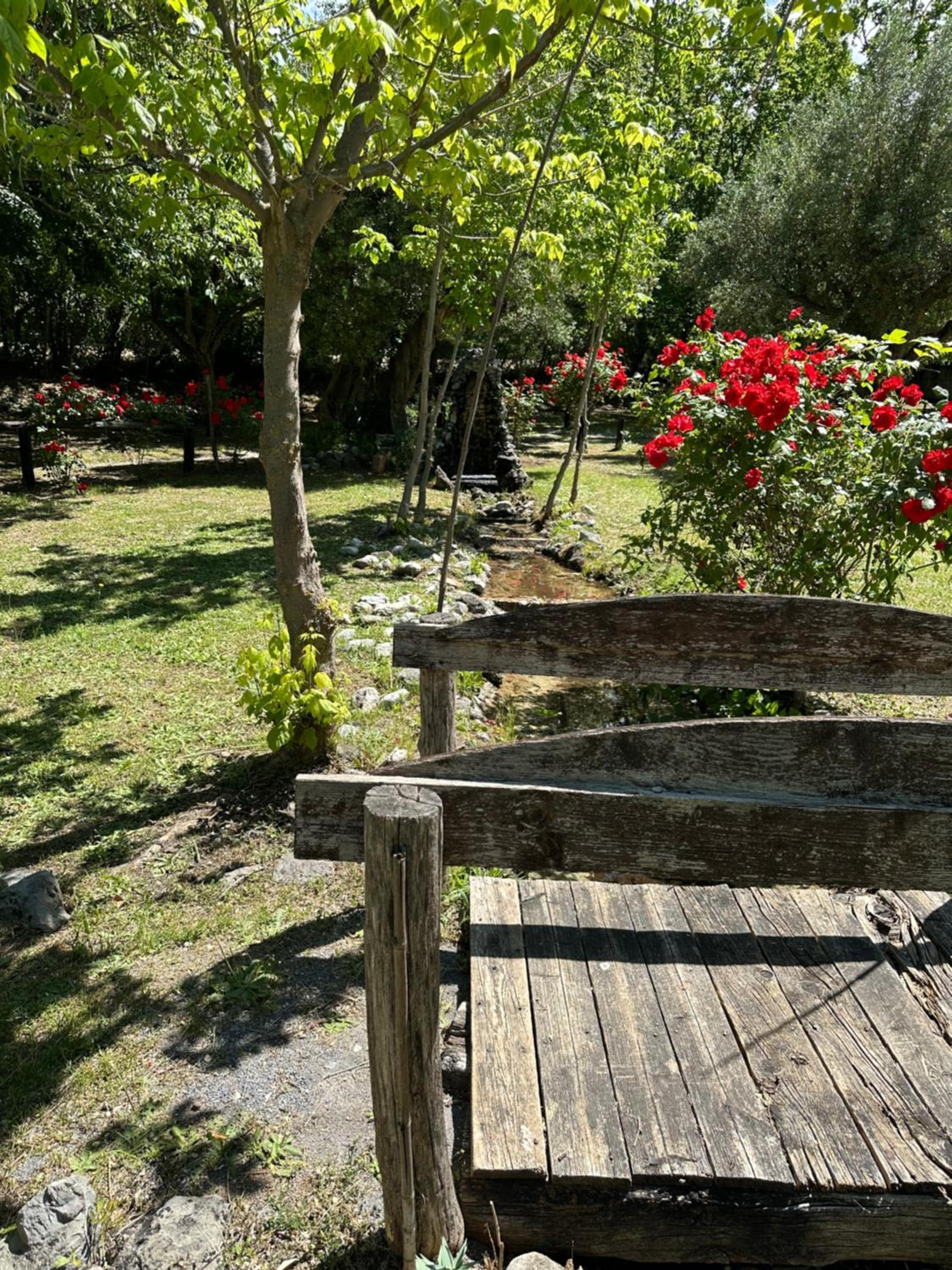 CicloPark Morano Calabro view 3