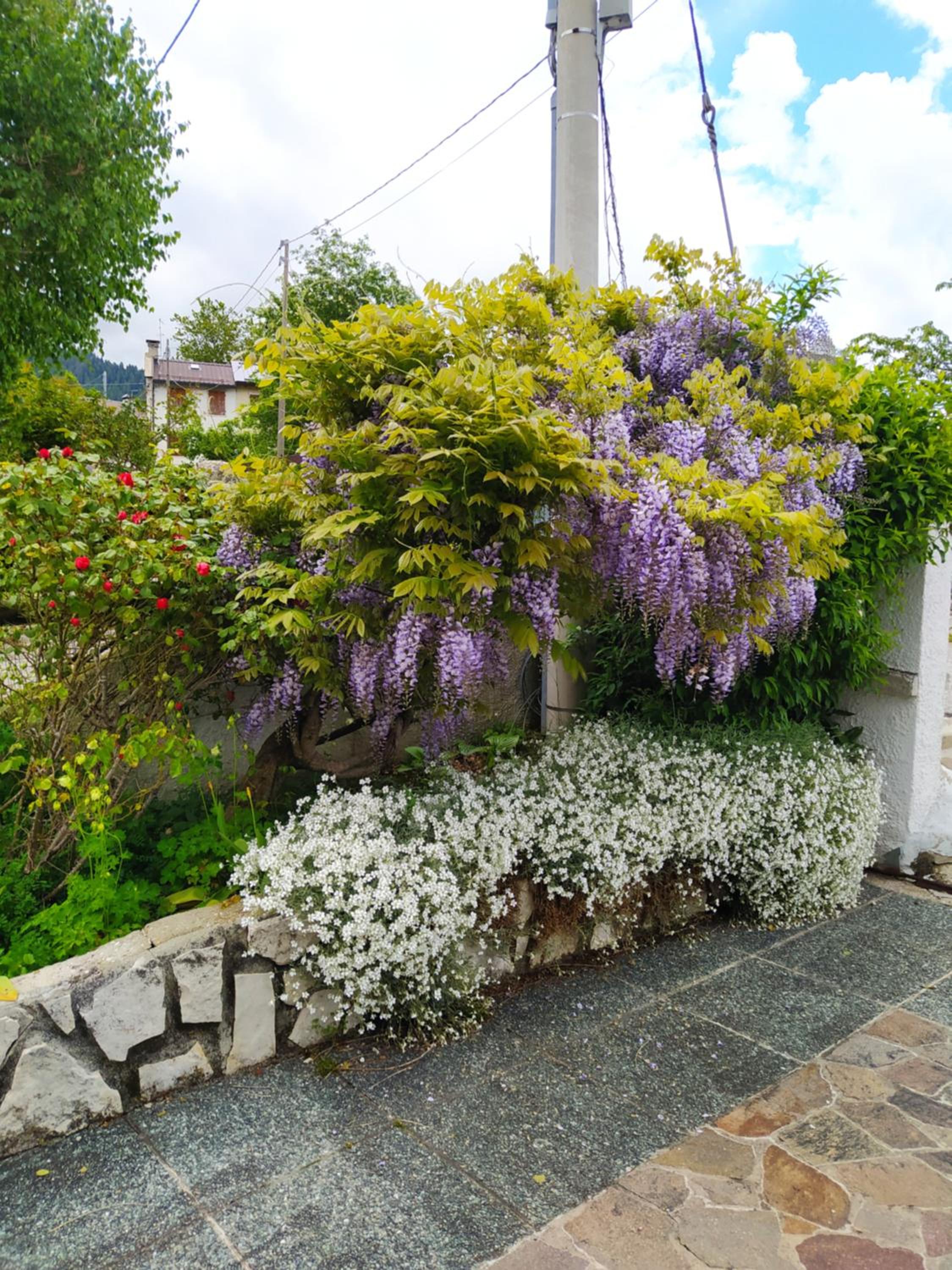 Villetta di montagna