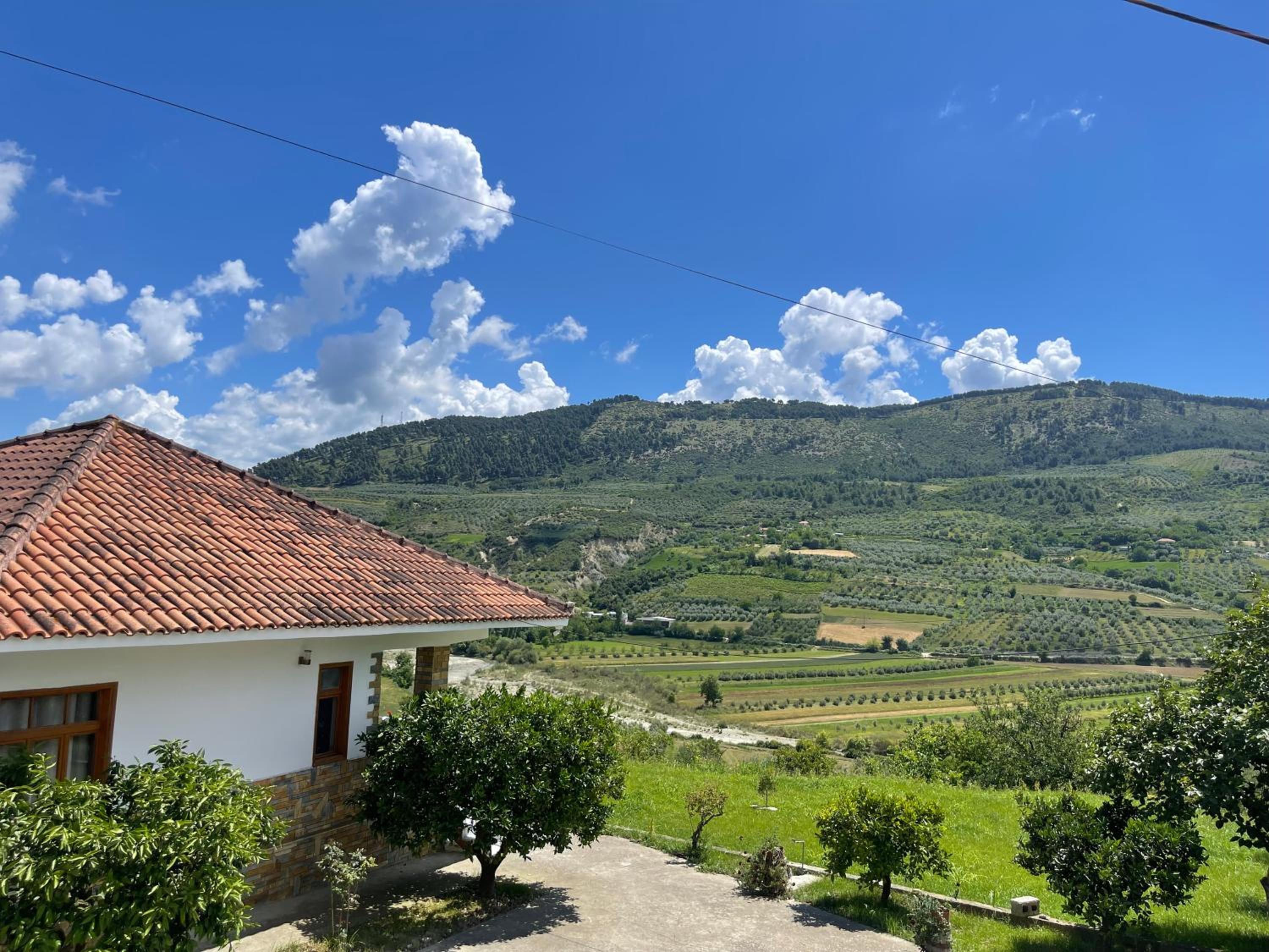 Vila Ardea