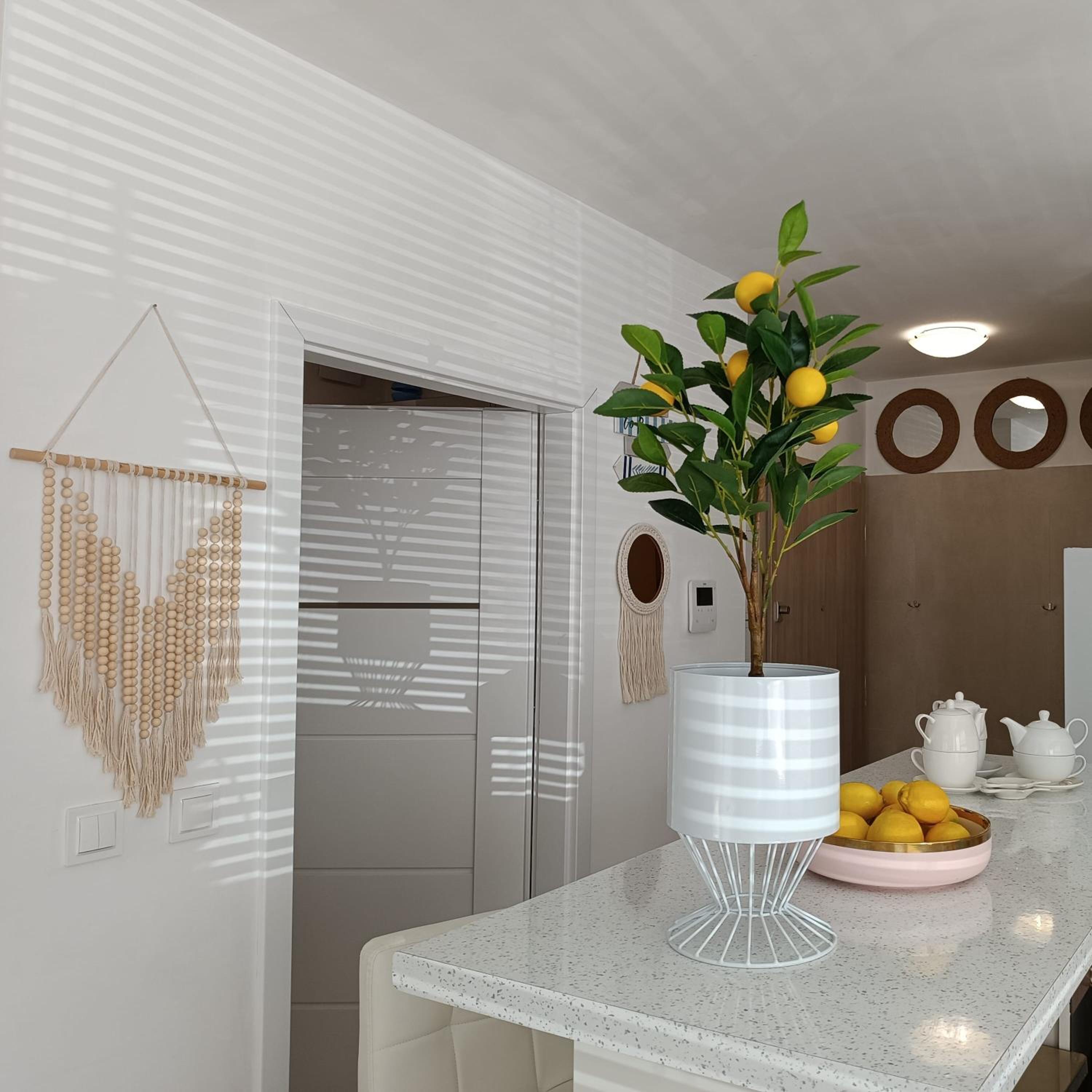 Batic Line - SUNNY PLACE - FUNNY PLACE, apartament ze słonecznym ogródkiem na Wyspie Sobieszewskiej