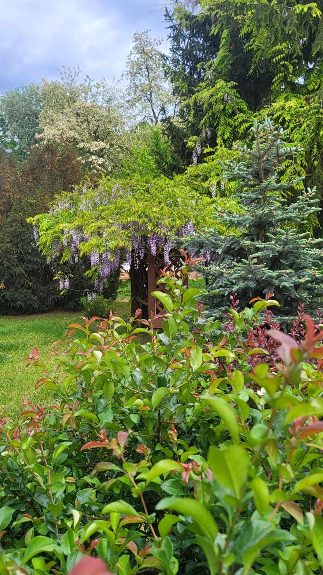 Gyömbér Tanya view 3