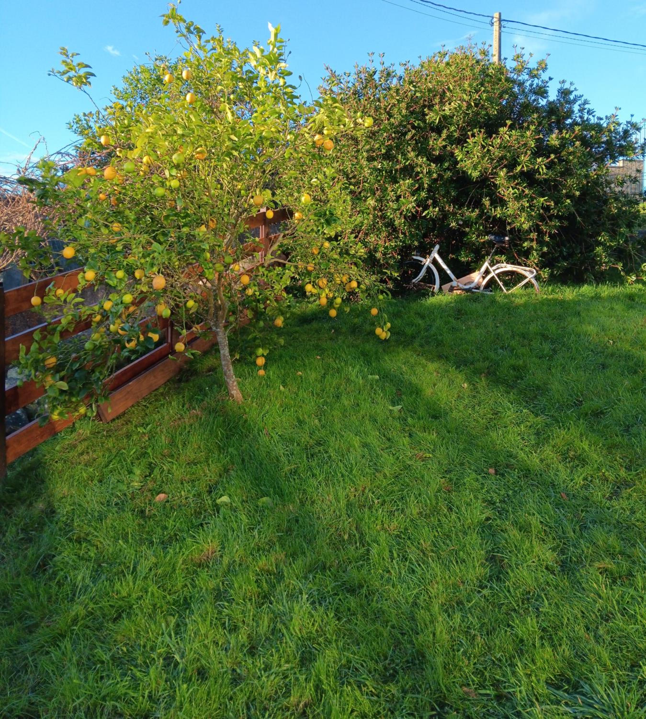 Photo 52
