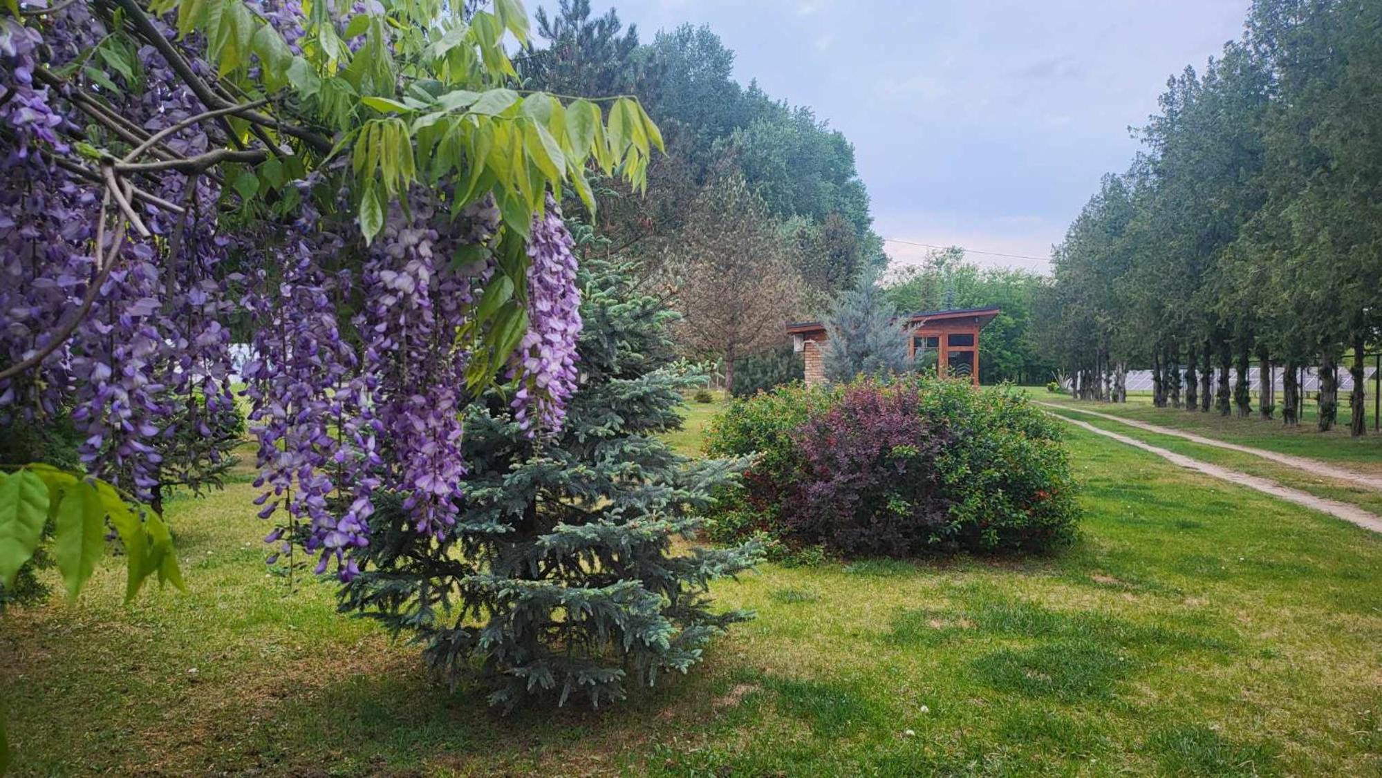 Hotel Gyömbér Tanya