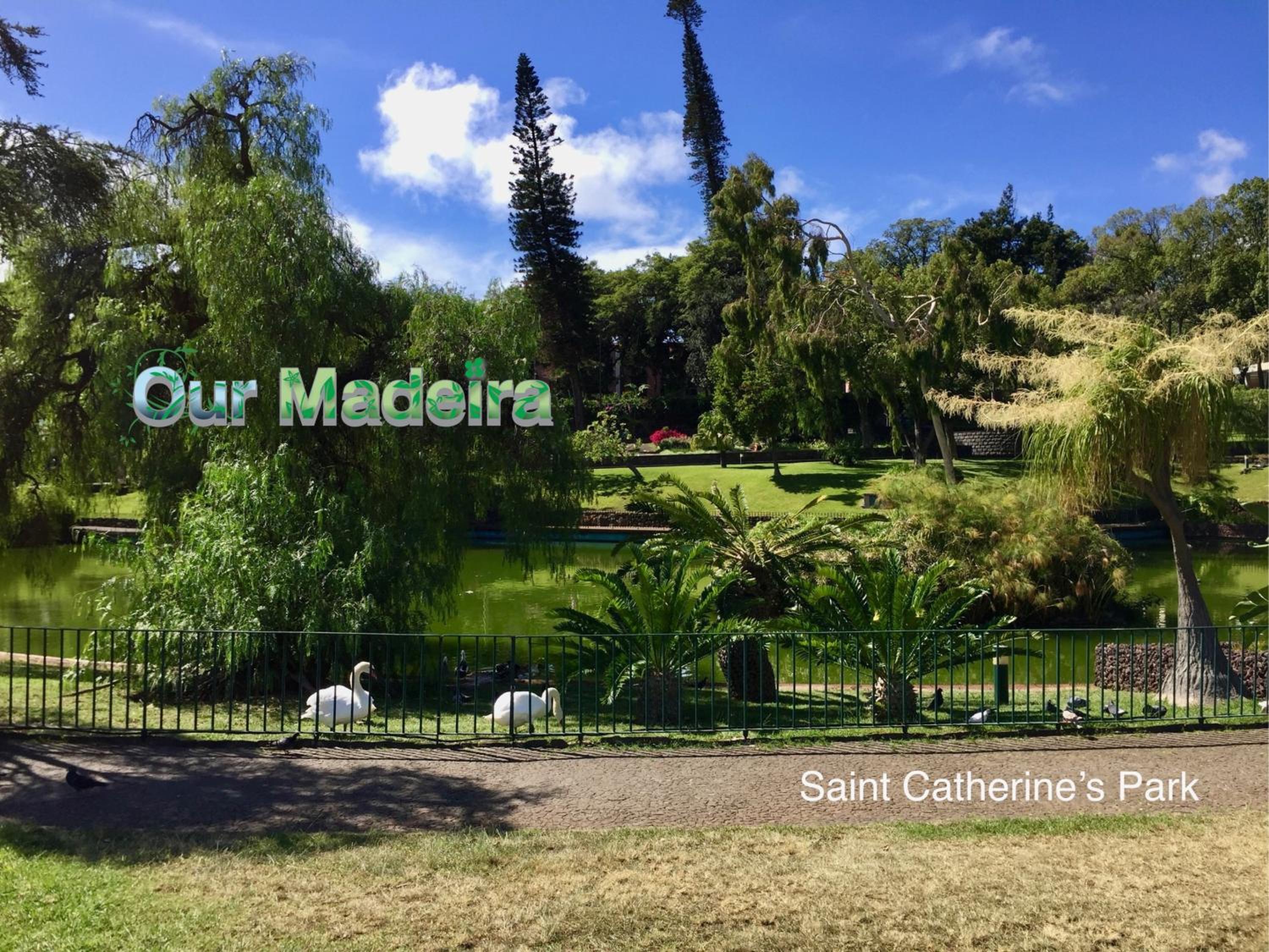 OurMadeira - Heart of Old Town Apartments