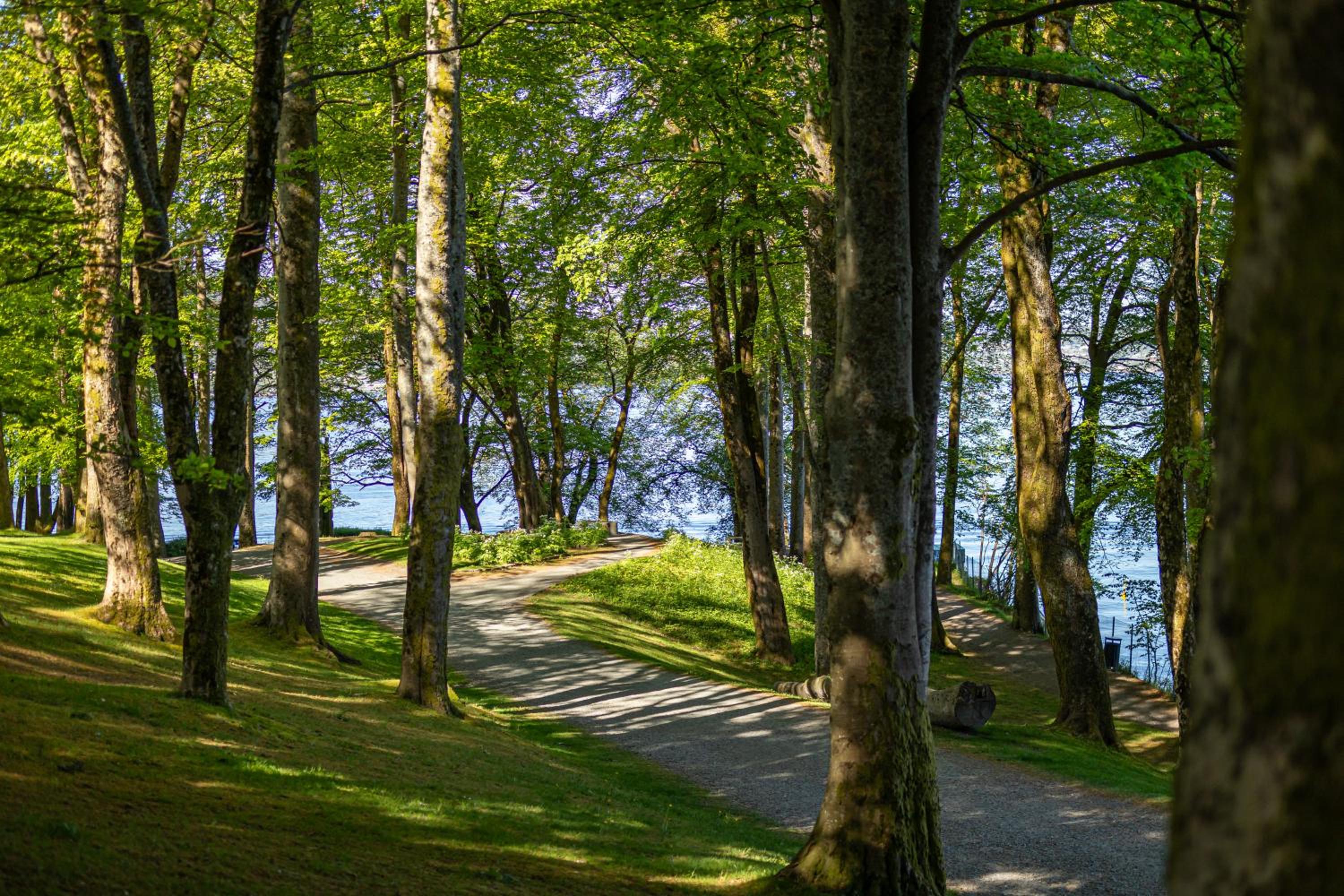Nordnes Brygge