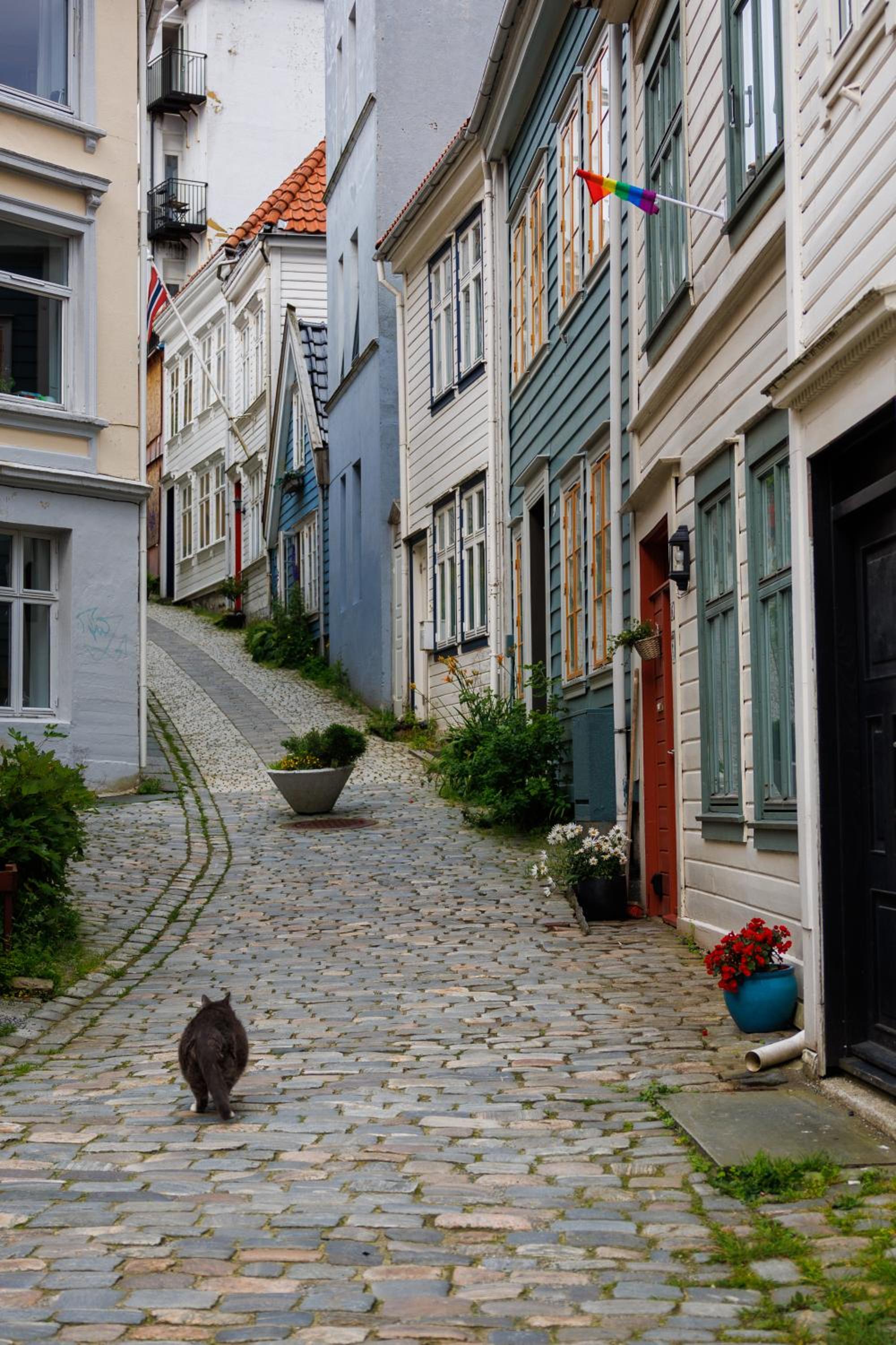 Nordnes Brygge