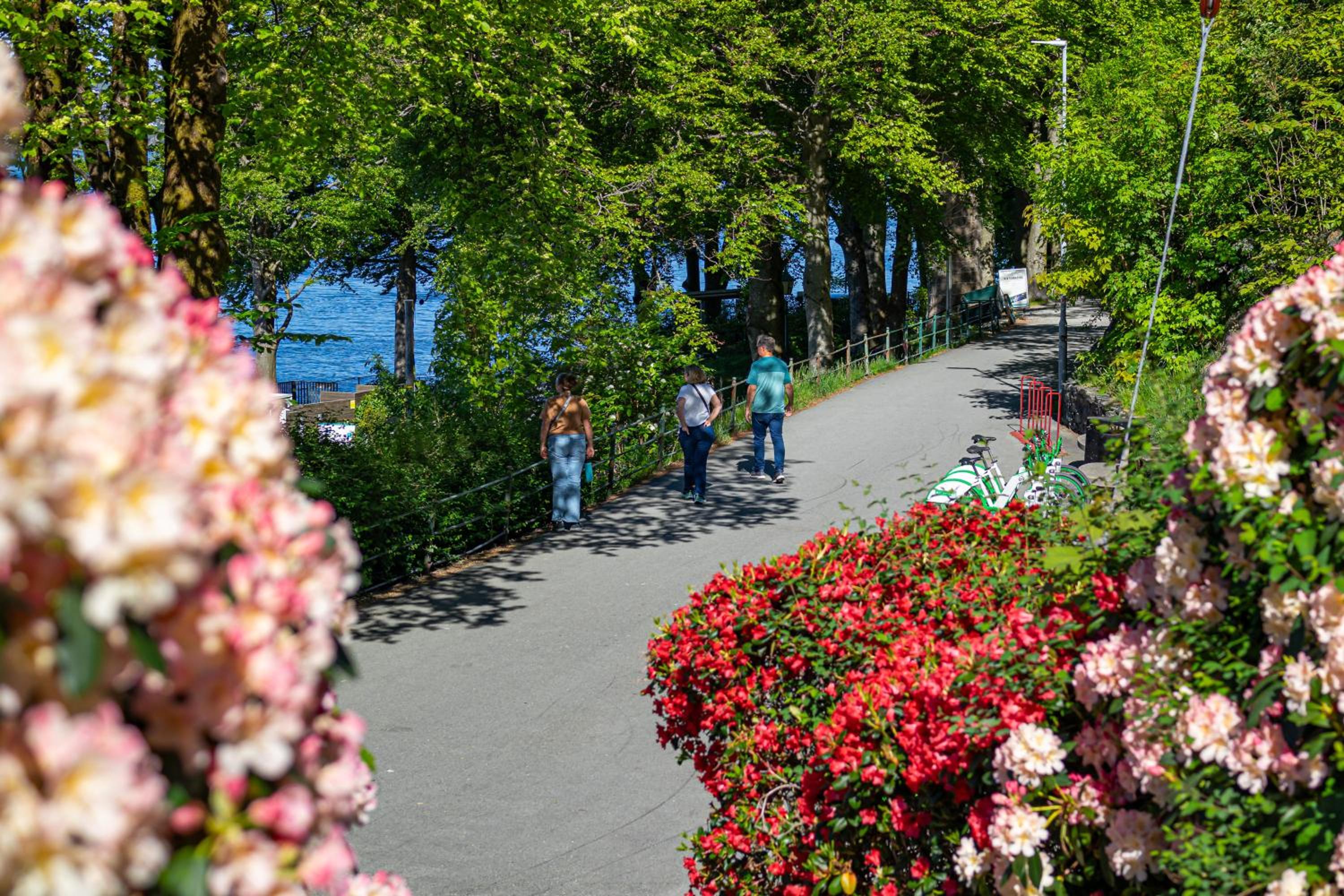 Nordnes Brygge