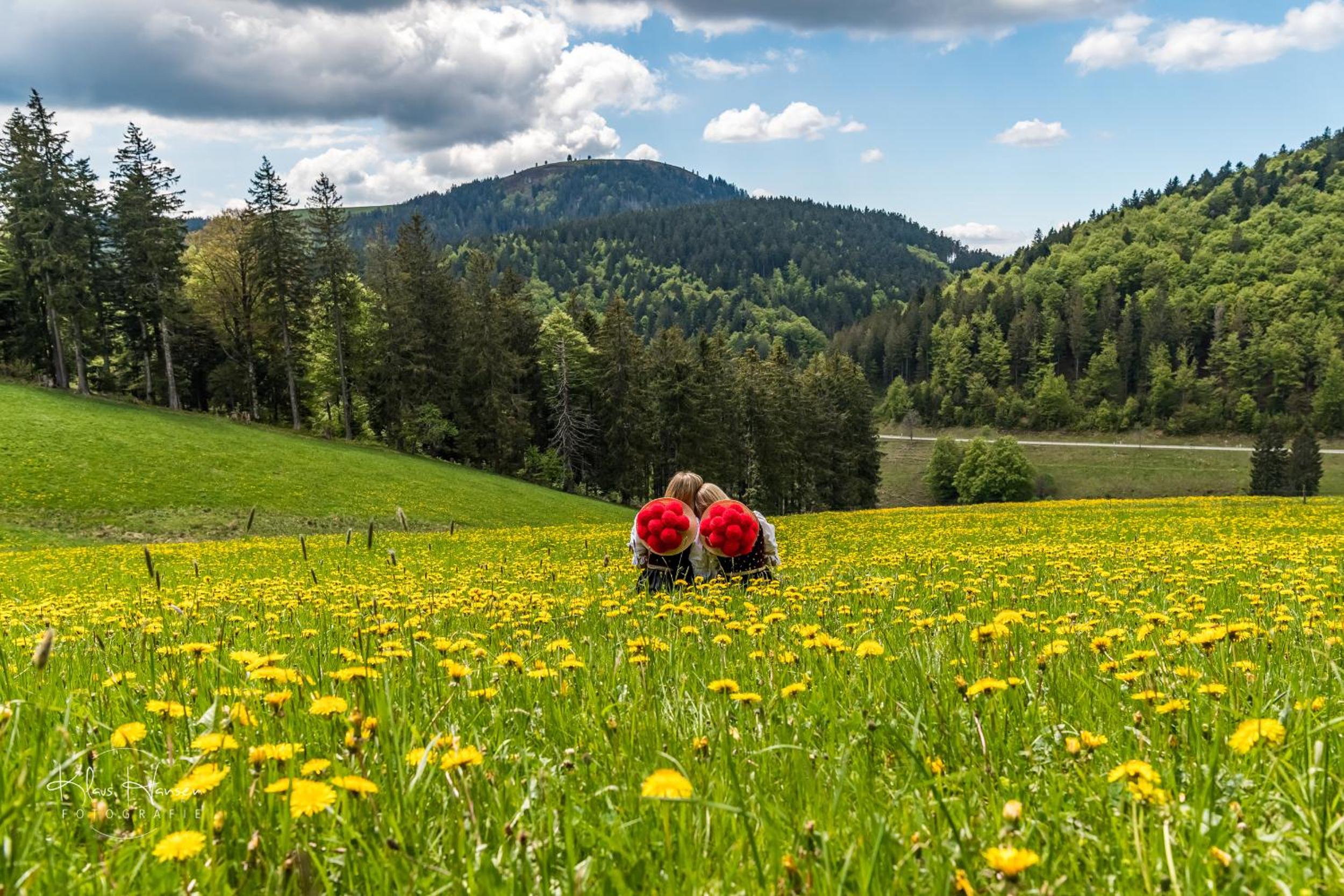 Ferienwohnung "Domicil Schluchsee" view 2