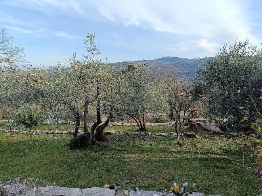 B&B Luceto Chianti view 4
