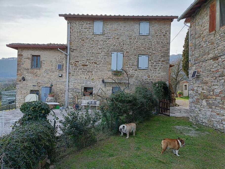 B&B Luceto Chianti view 5