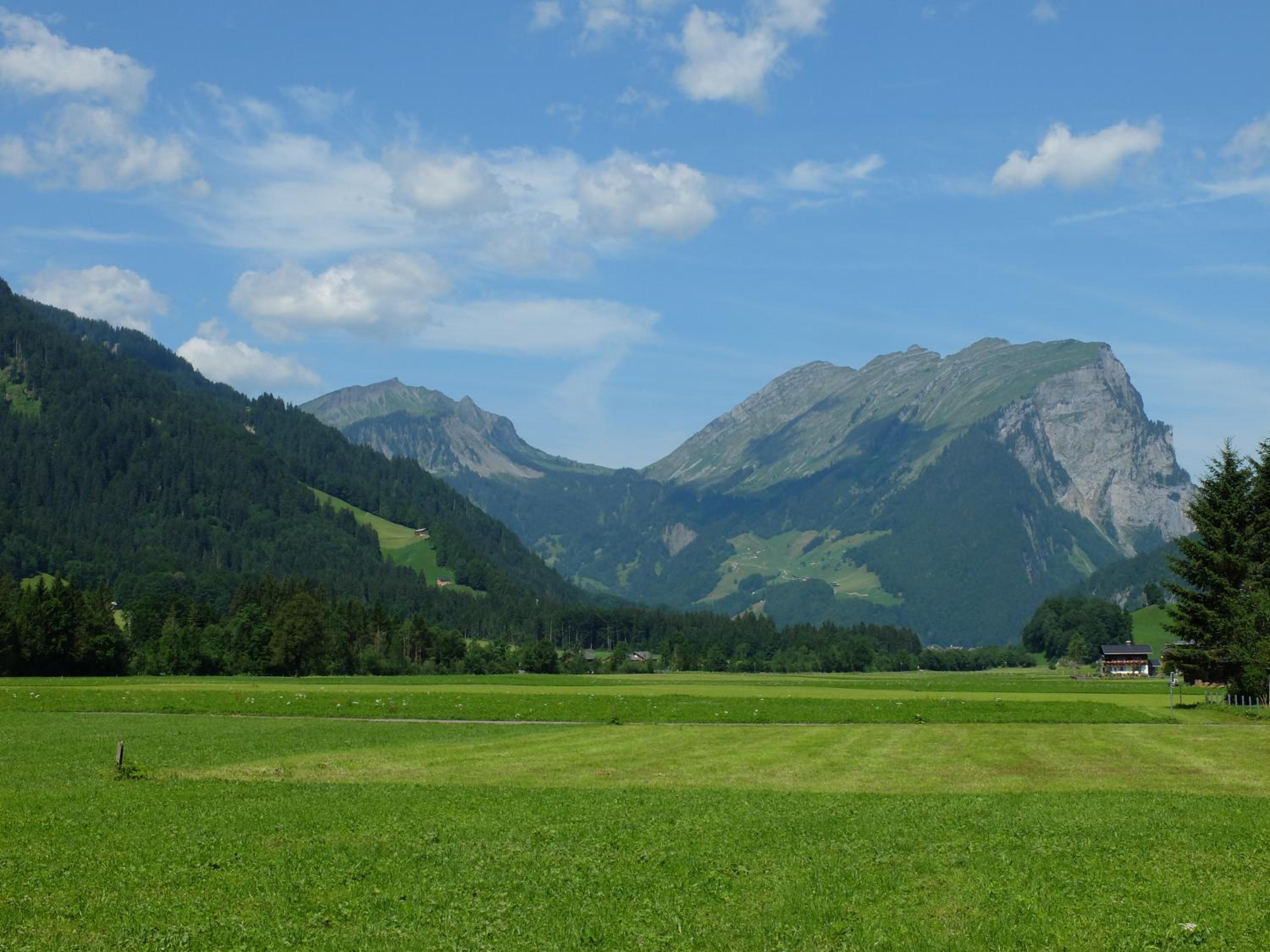 Photo 6