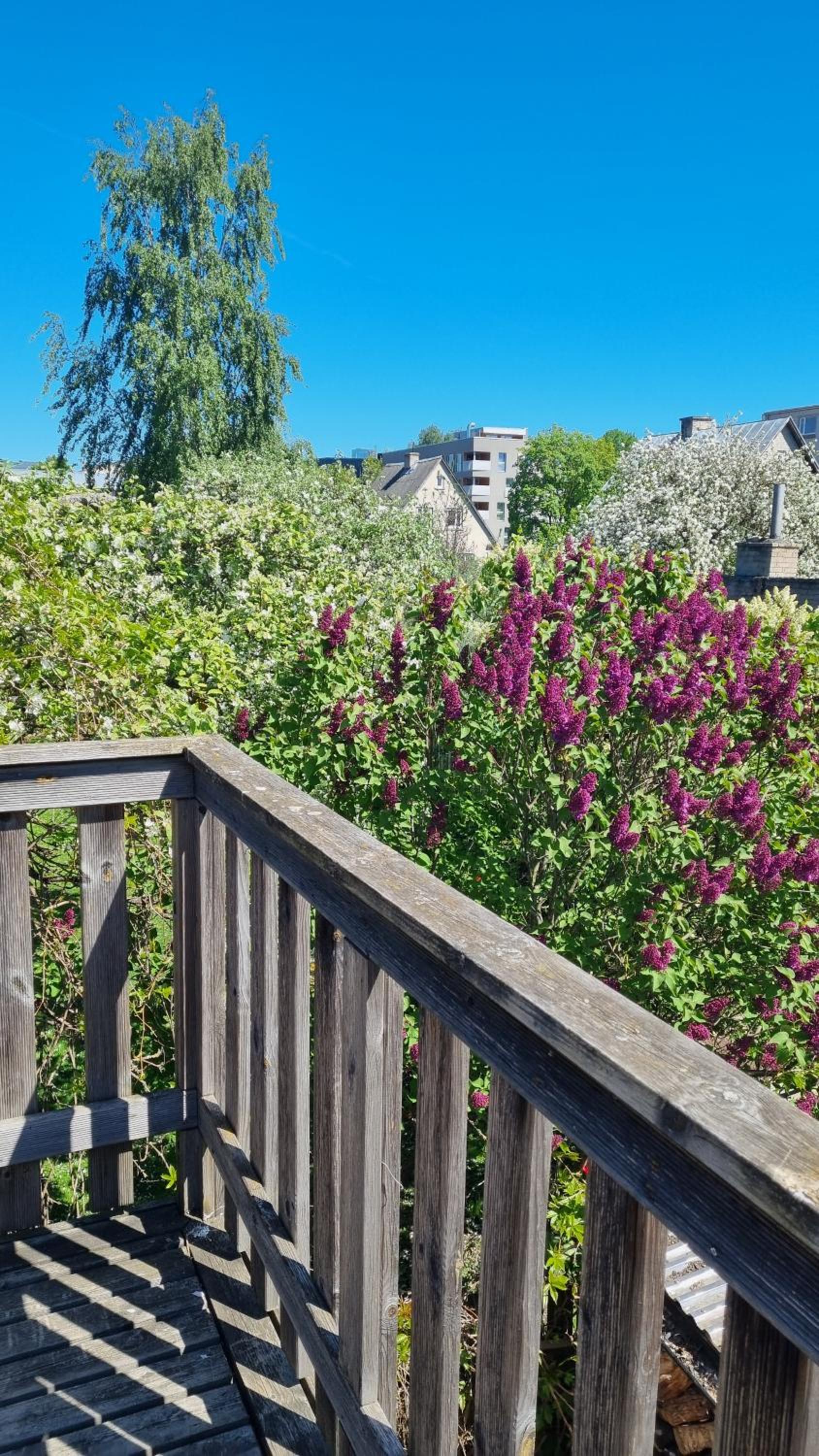 Garden view apartment