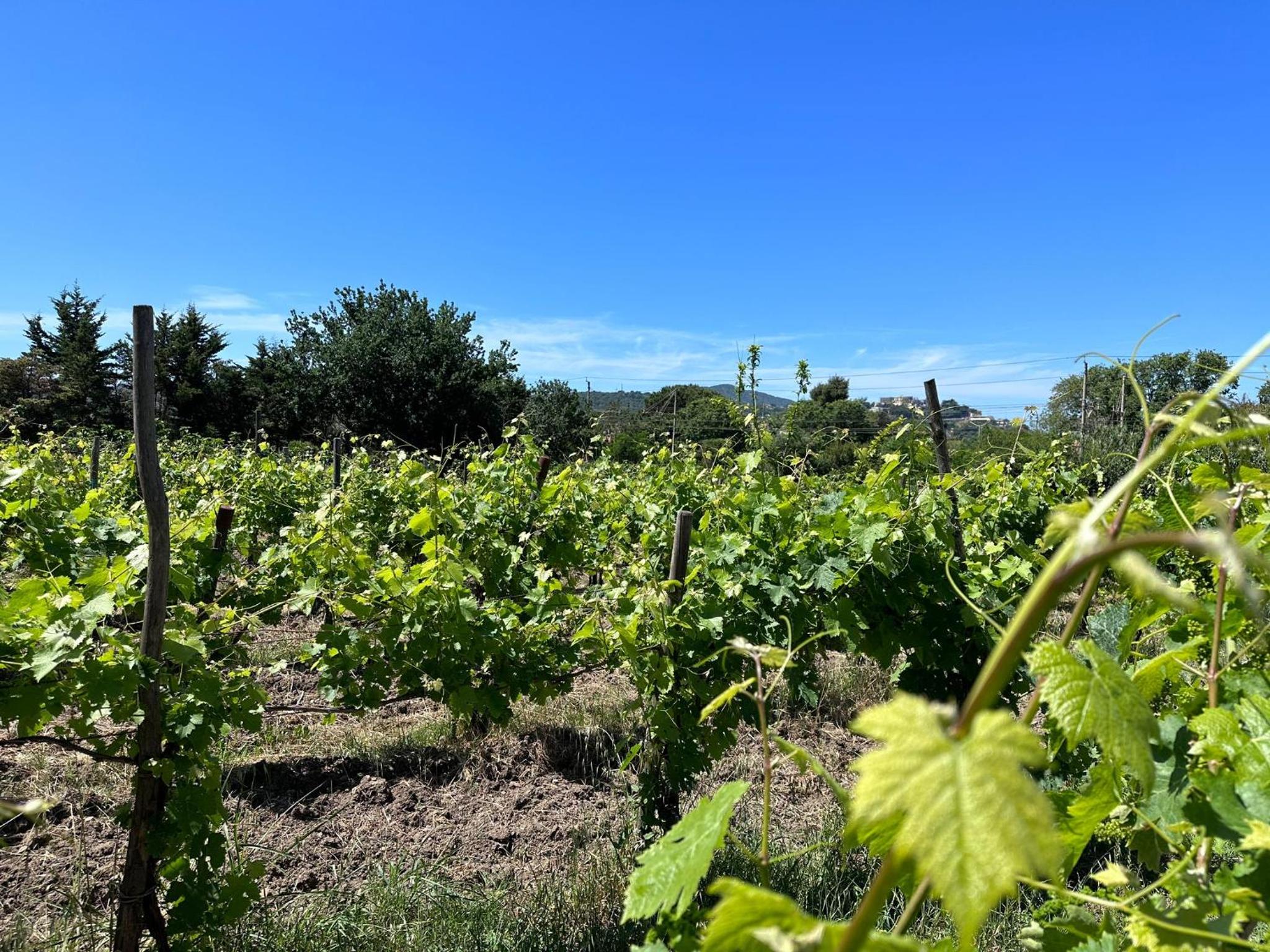 Acquasale