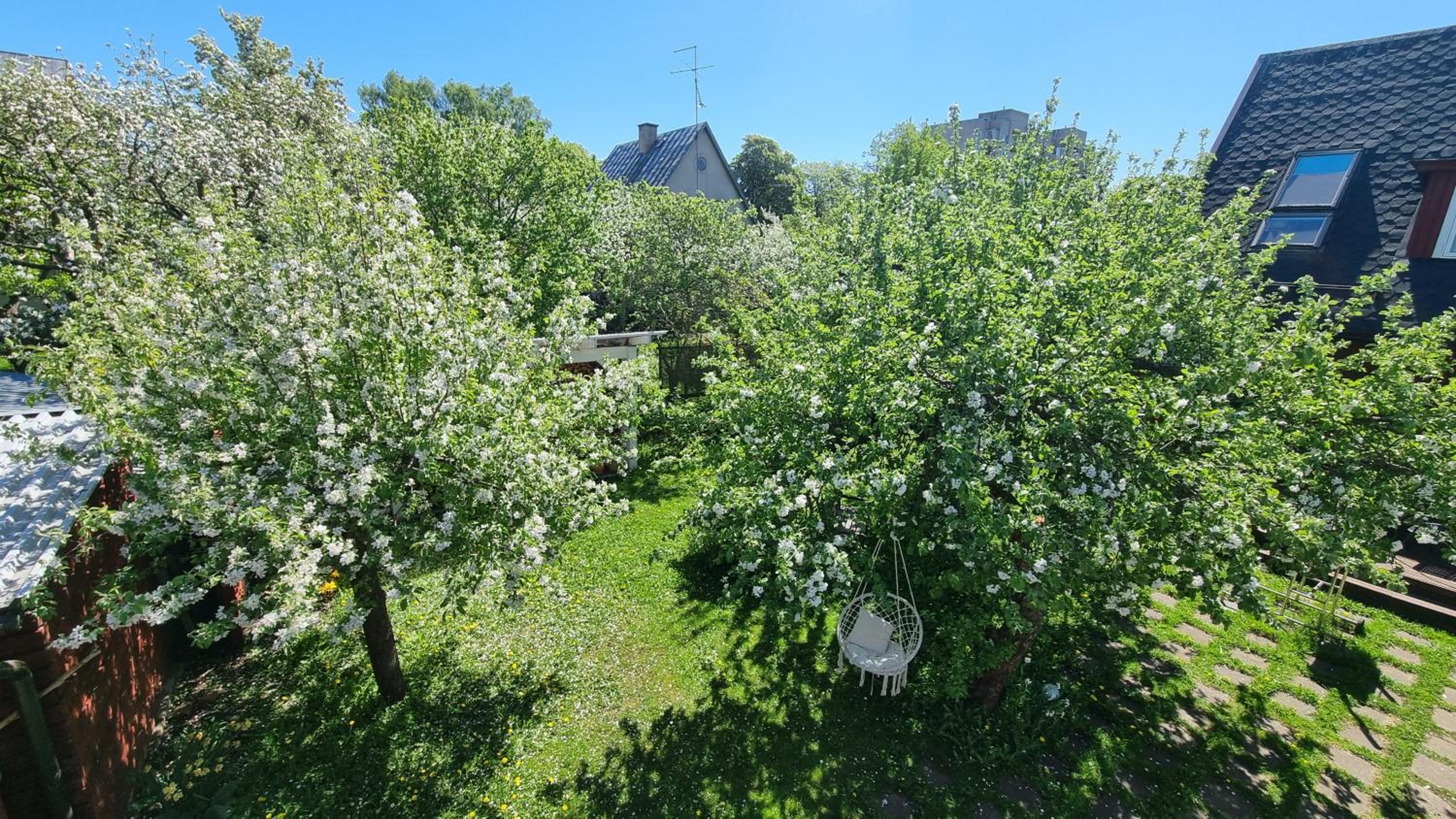 Garden view apartment