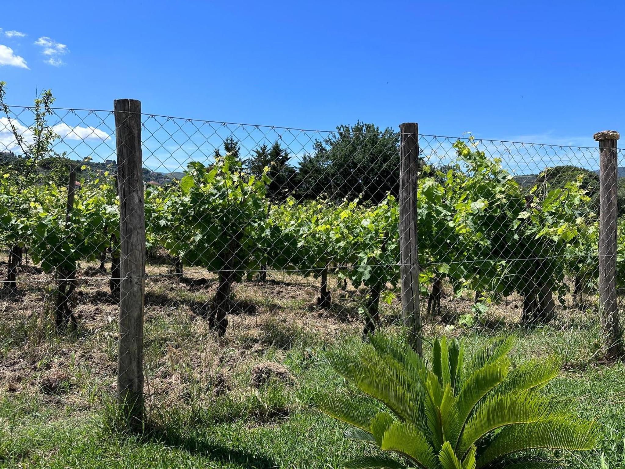 Acquasale