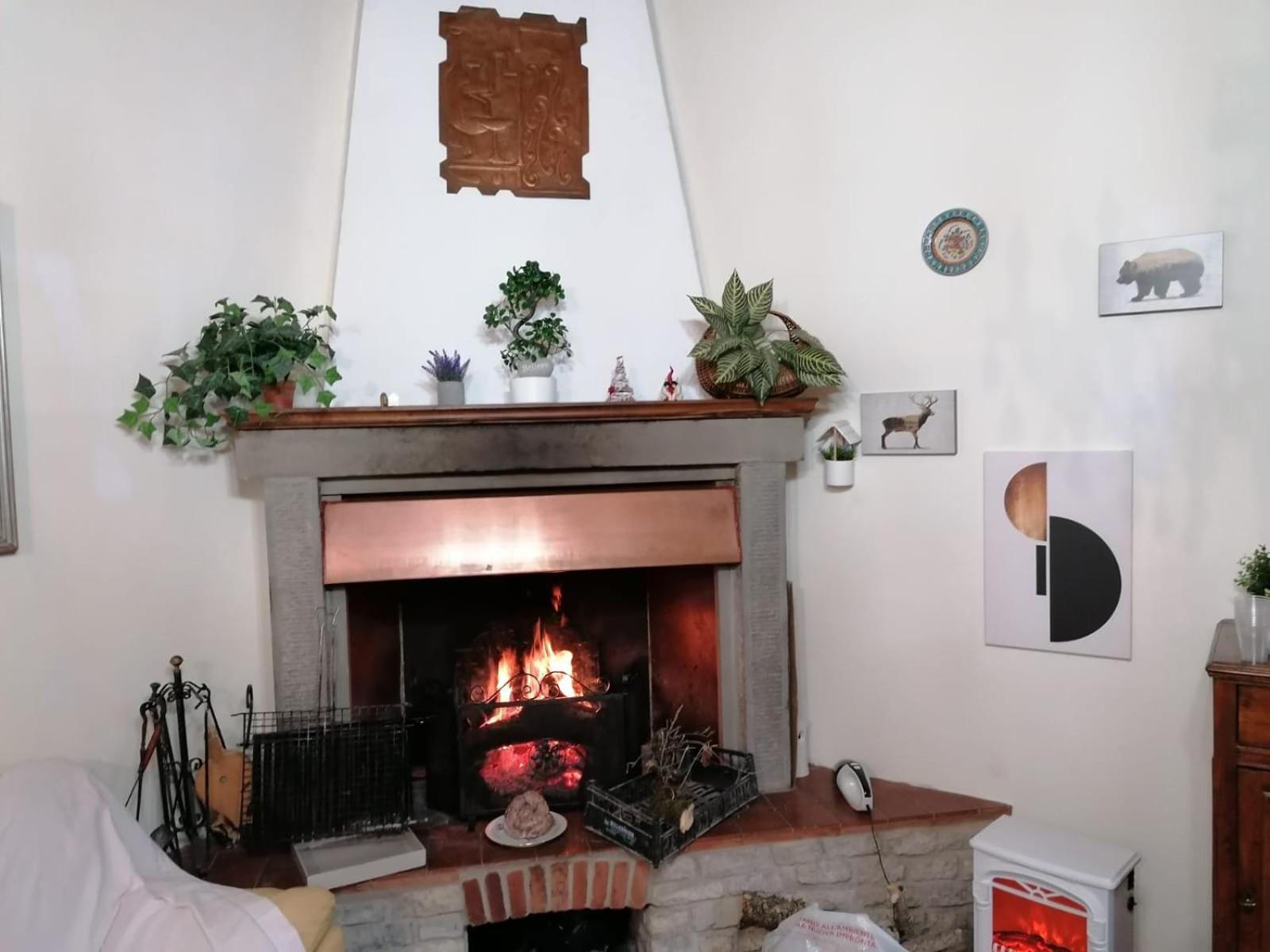 Photo 30