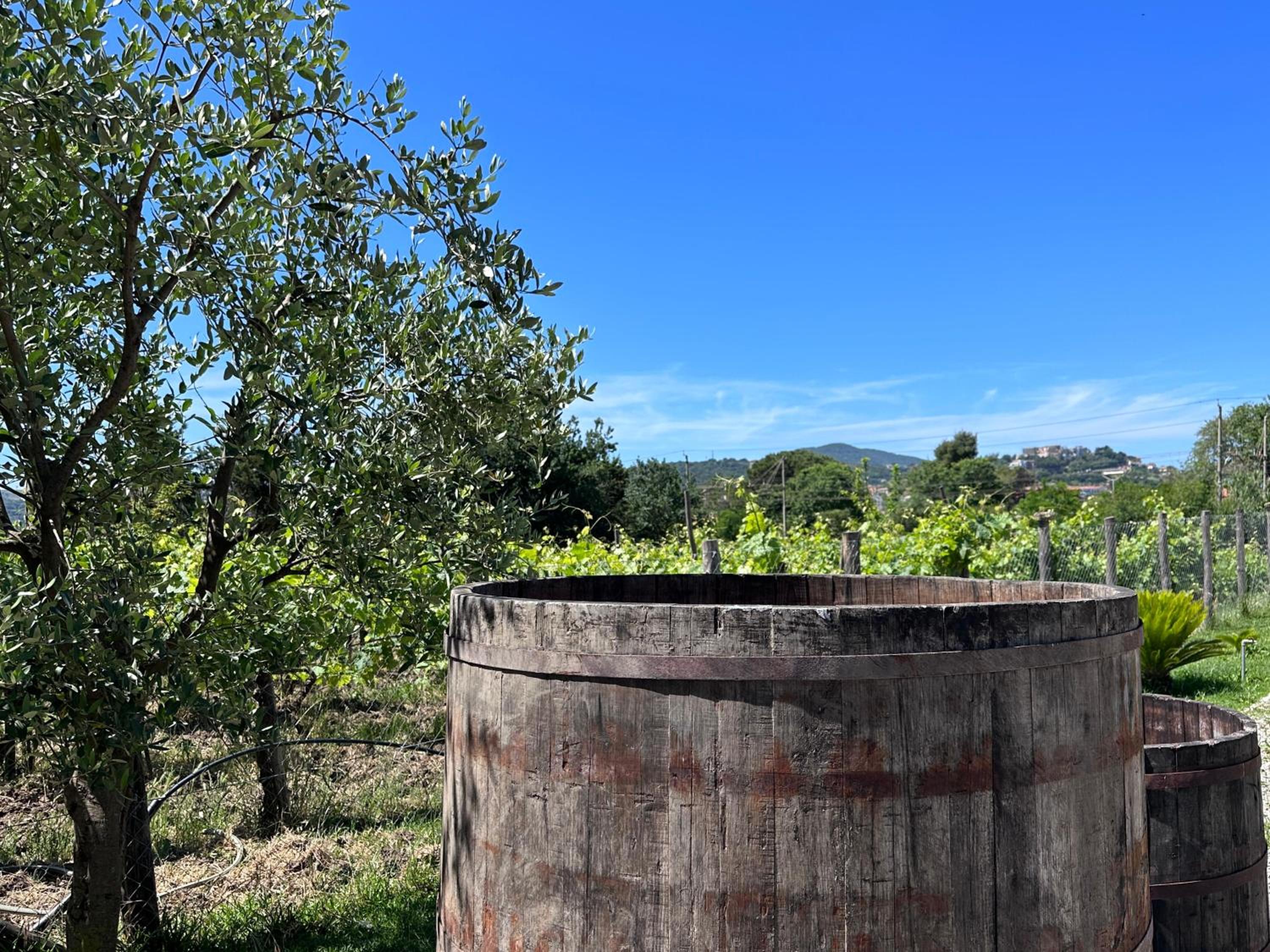 Acquasale
